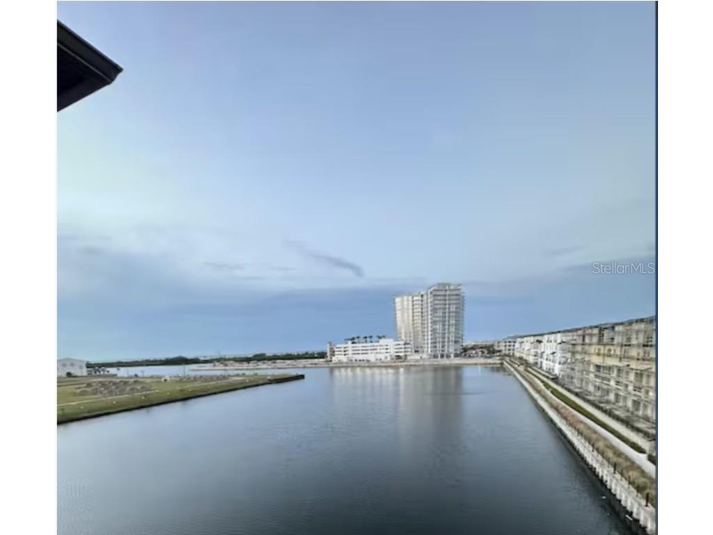5351 Bridge Street #100 Tampa FL 33611 U8194287 image1