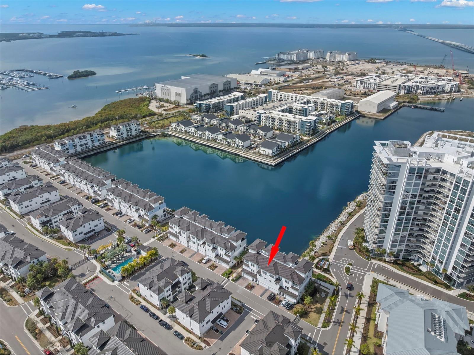 5351 Bridge Street #19 Tampa FL 33611 TB8477301 image57