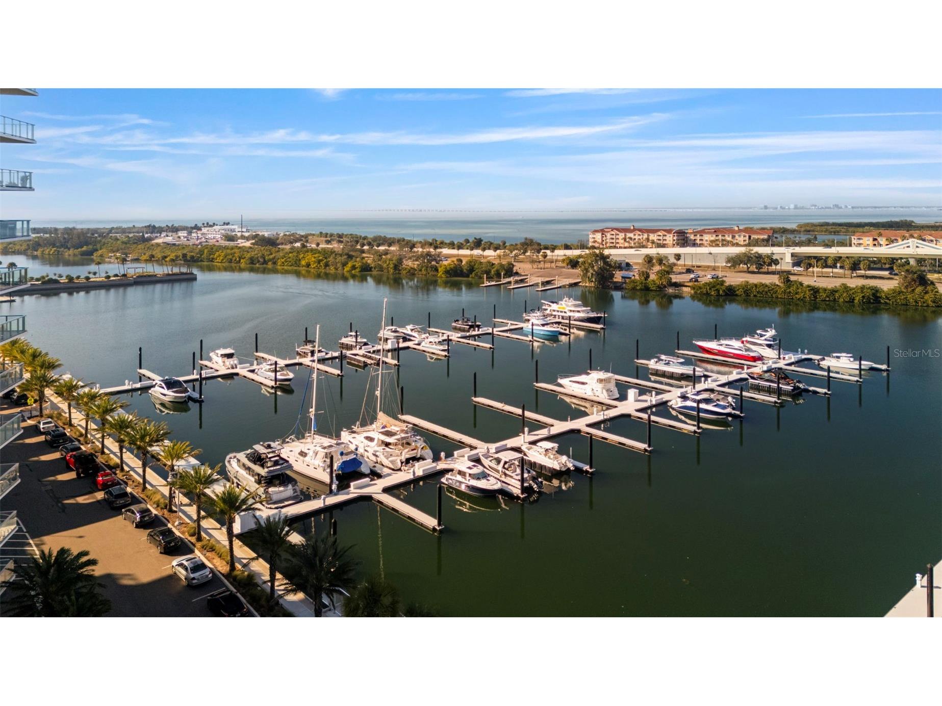 5351 Bridge Street #2 Tampa FL 33611 TB8468254 image81