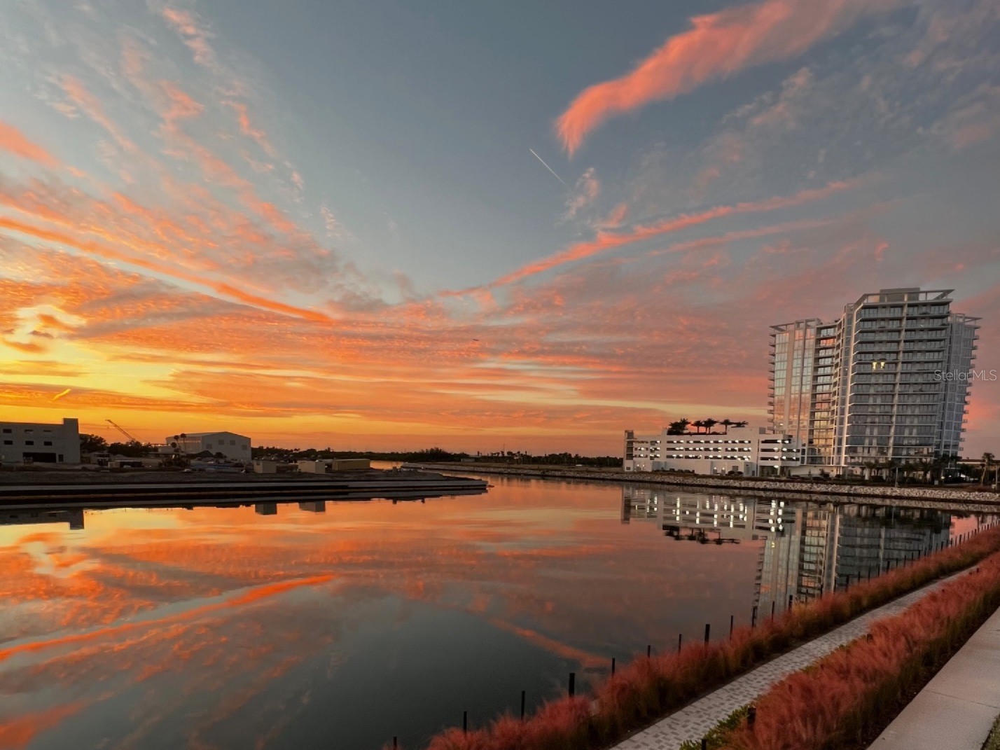 5351 Bridge Street #62 Tampa FL 33611 - TAMPA BAY TB8446763 image3