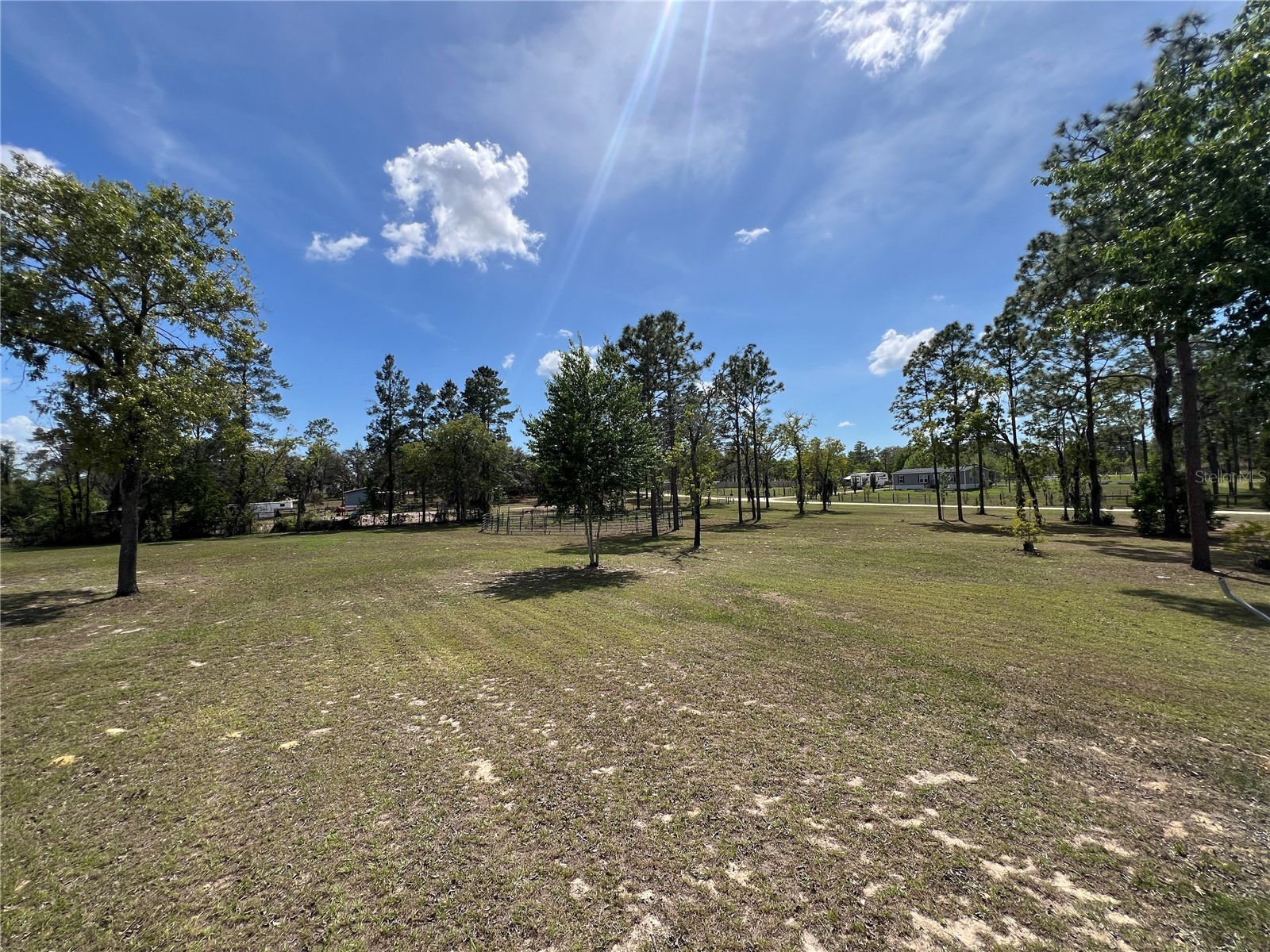 5351 NE 121st Terrace Williston FL 32696 OM722205 image42