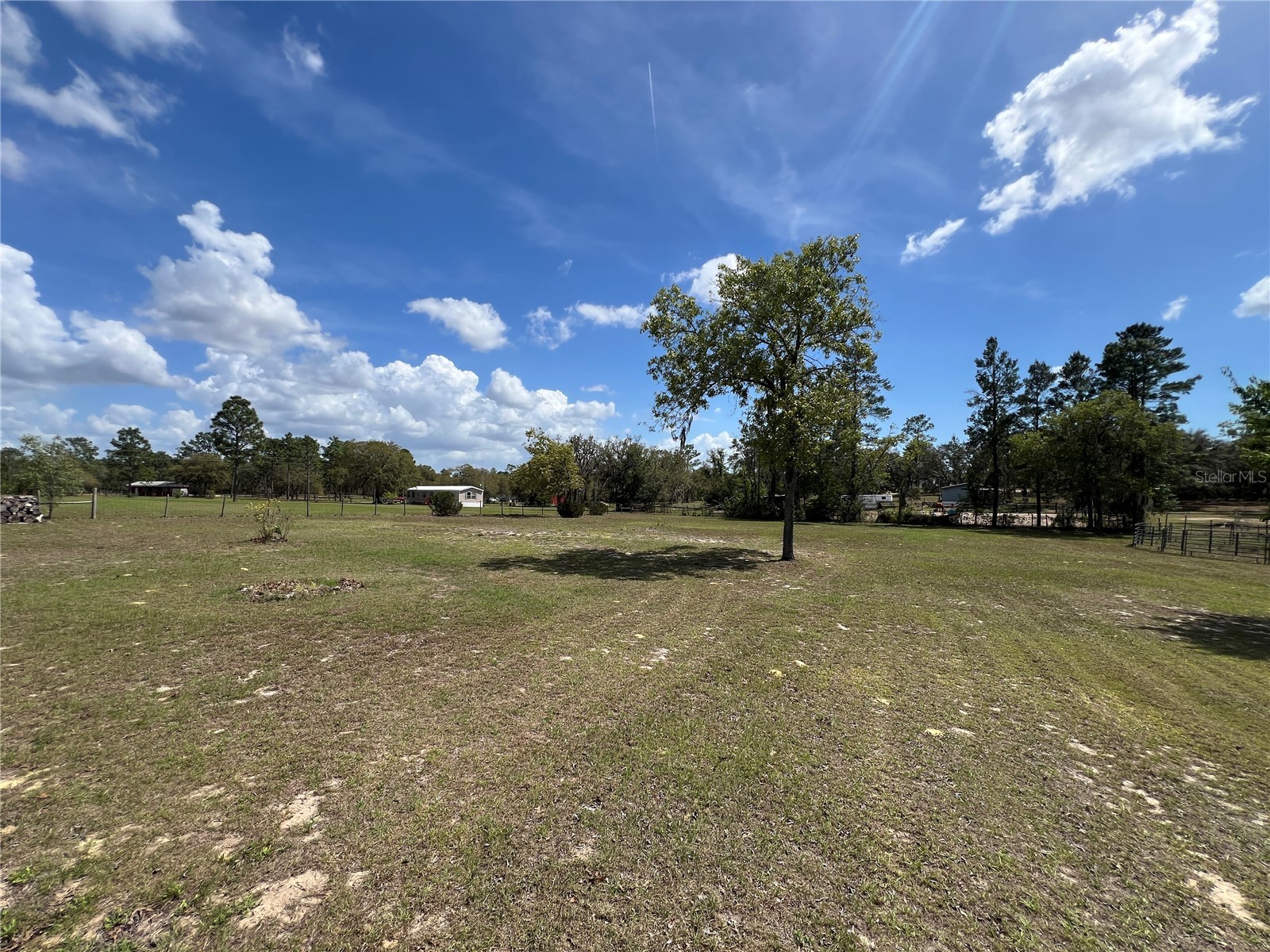 5351 NE 121st Terrace Williston FL 32696 OM722205 image43