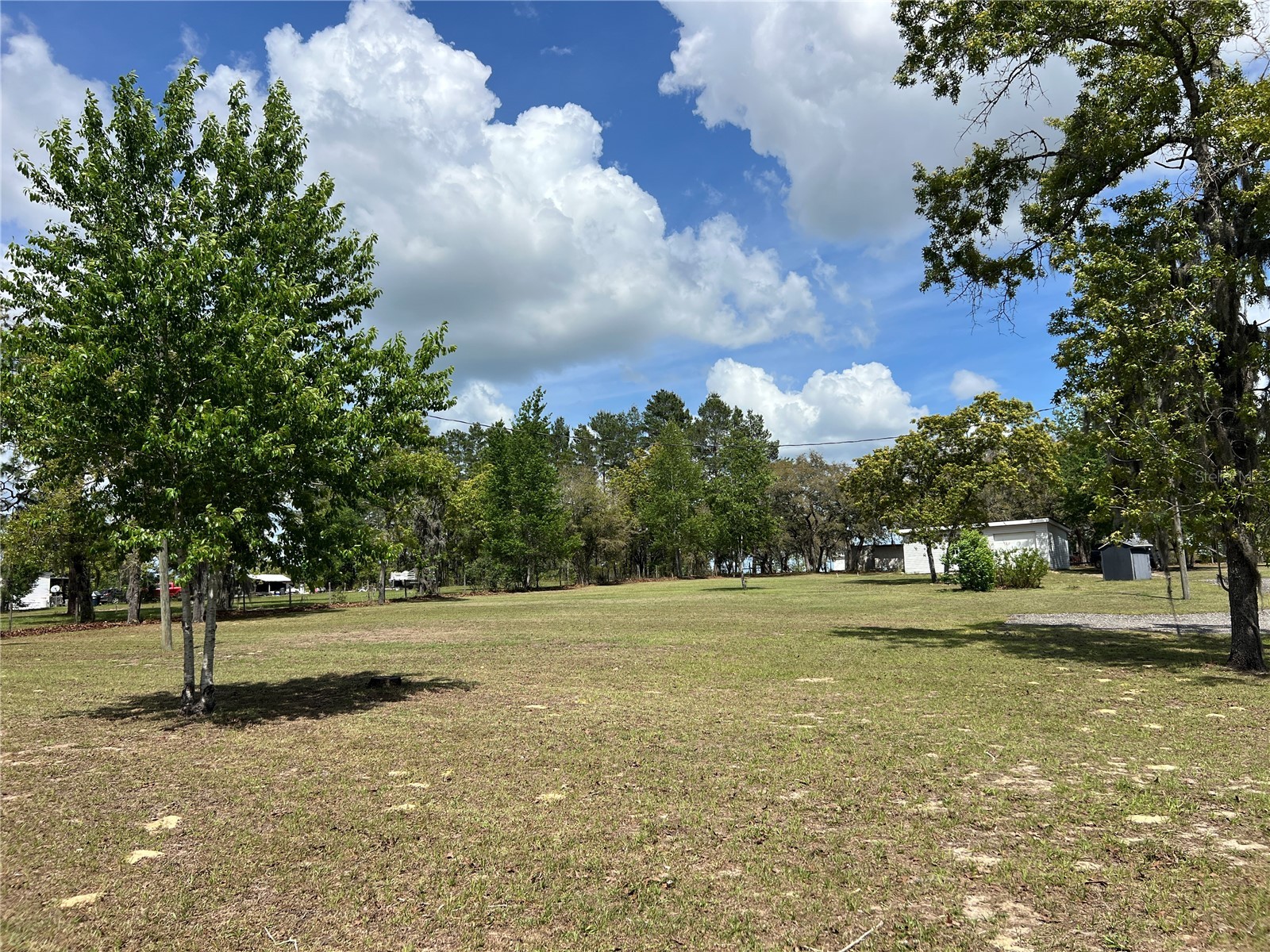 5351 NE 121st Terrace Williston FL 32696 OM722205 image45