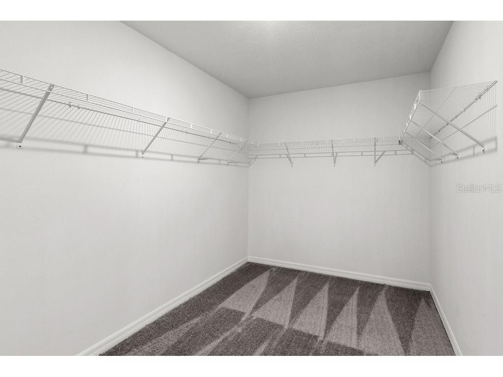 5351 Night Tide Lane Wimauma FL 33598 TB8472439 image6