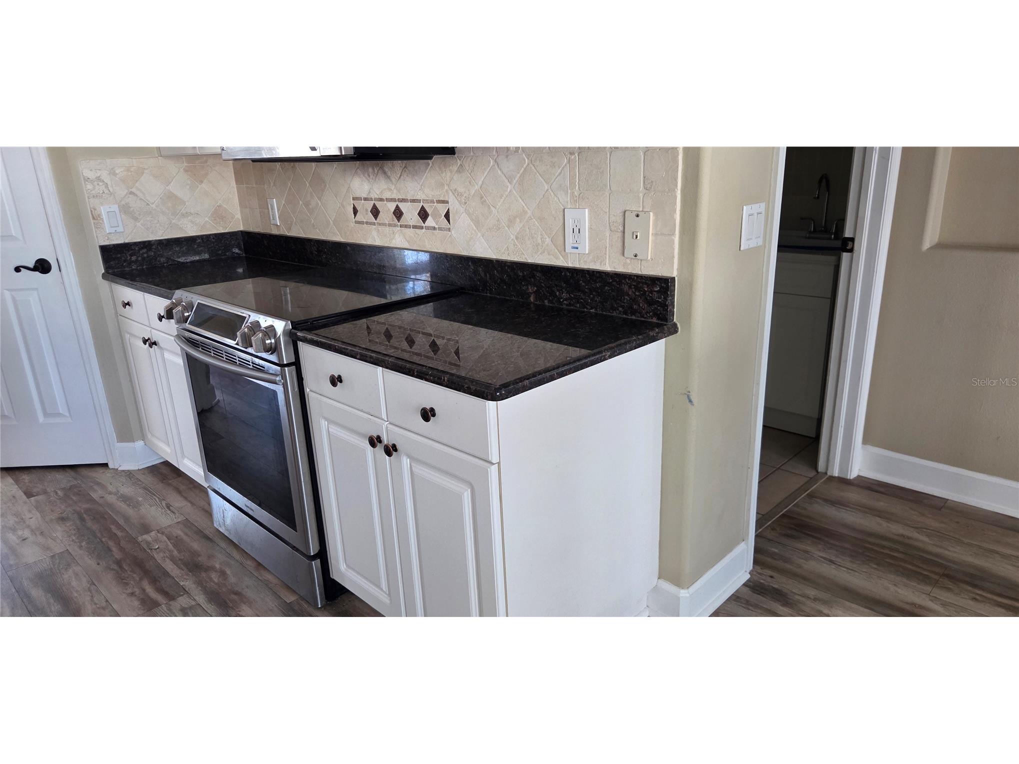 5352 Camberlea Avenue Zephyrhills FL 33541 L4961345 image14