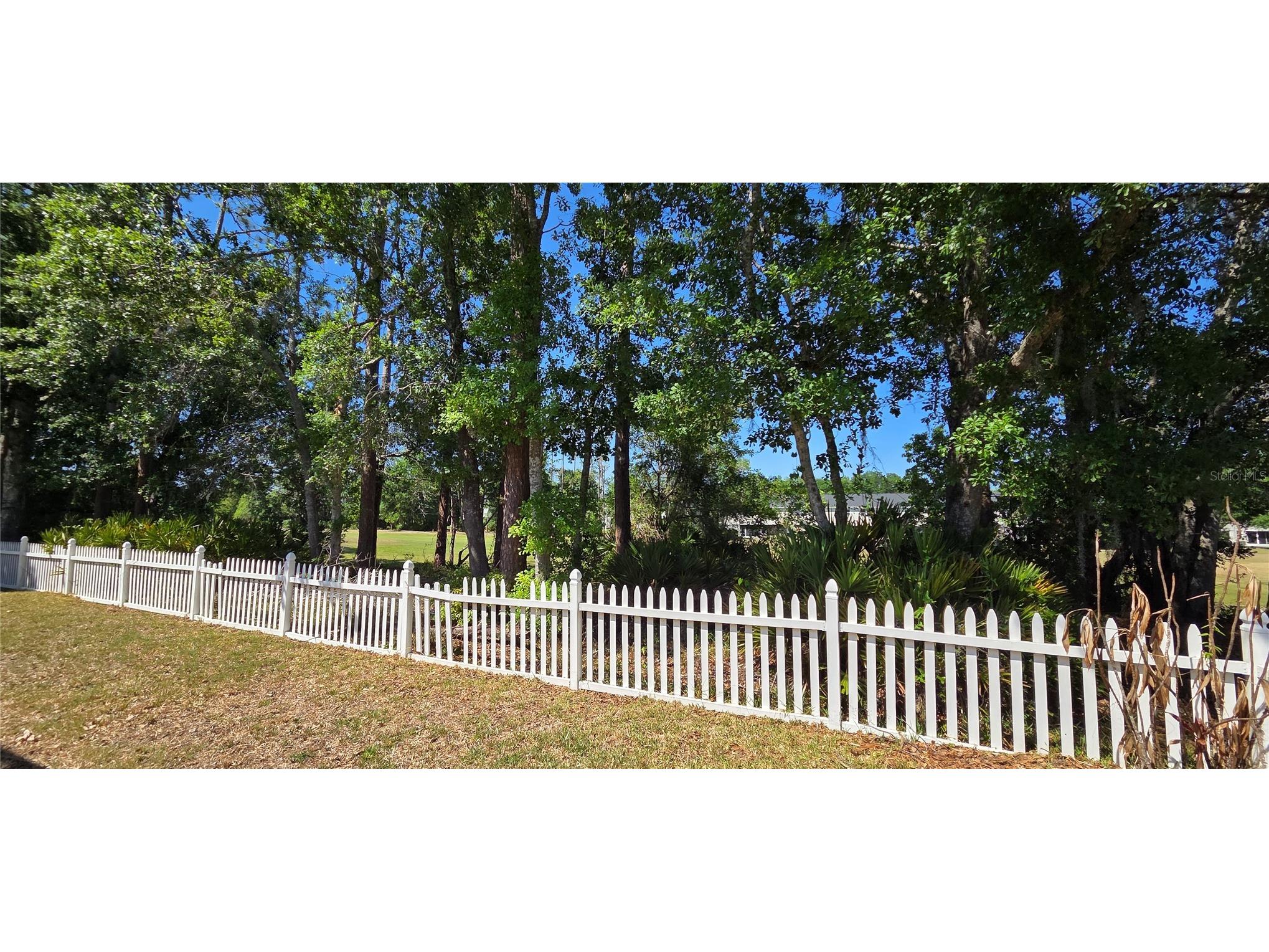 5352 Camberlea Avenue Zephyrhills FL 33541 L4961345 image46