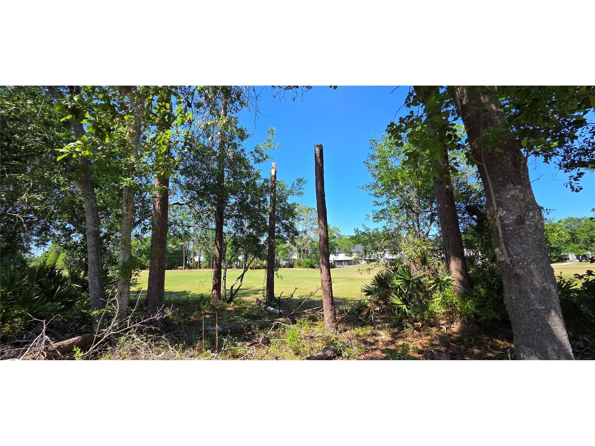 5352 Camberlea Avenue Zephyrhills FL 33541 L4961345 image47