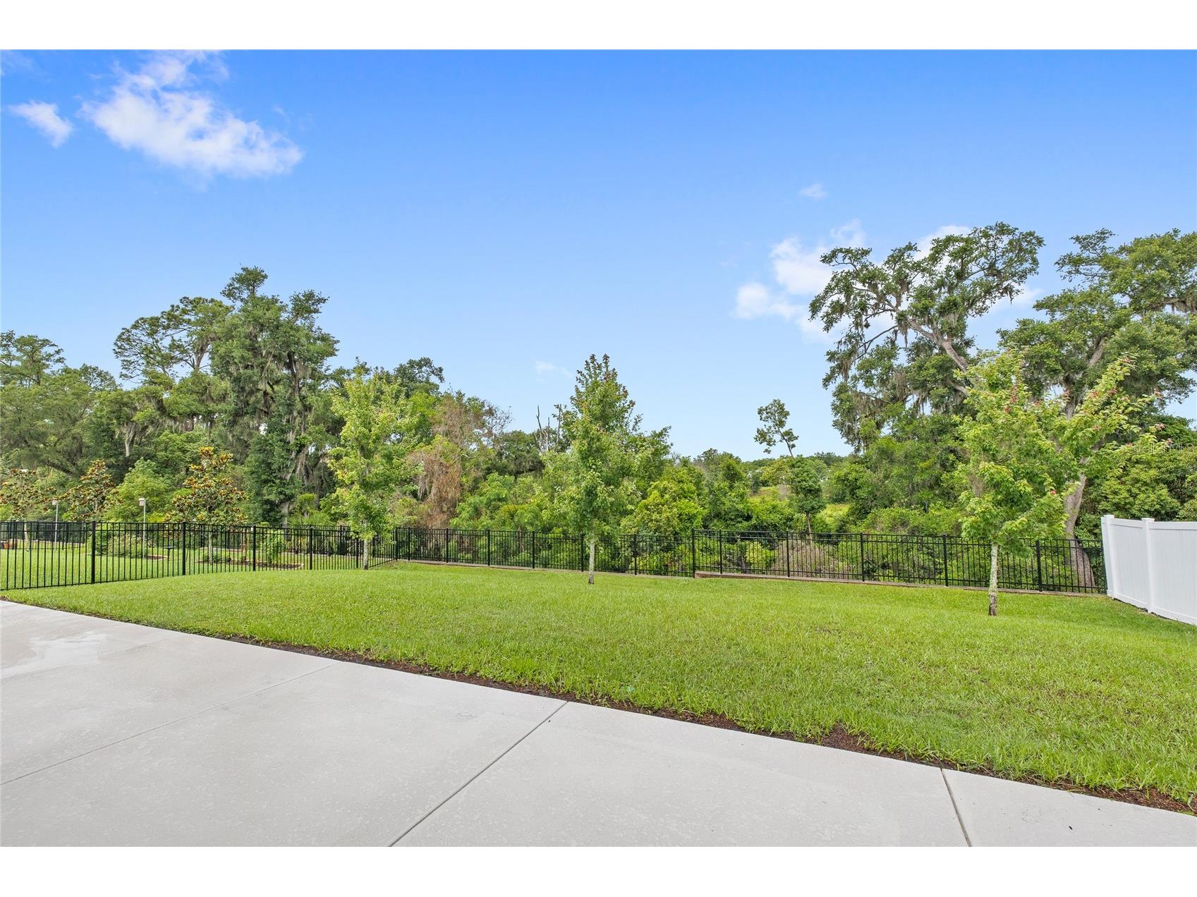 5352 Red Coral Circle Mount Dora FL 32757 O6412848 image4