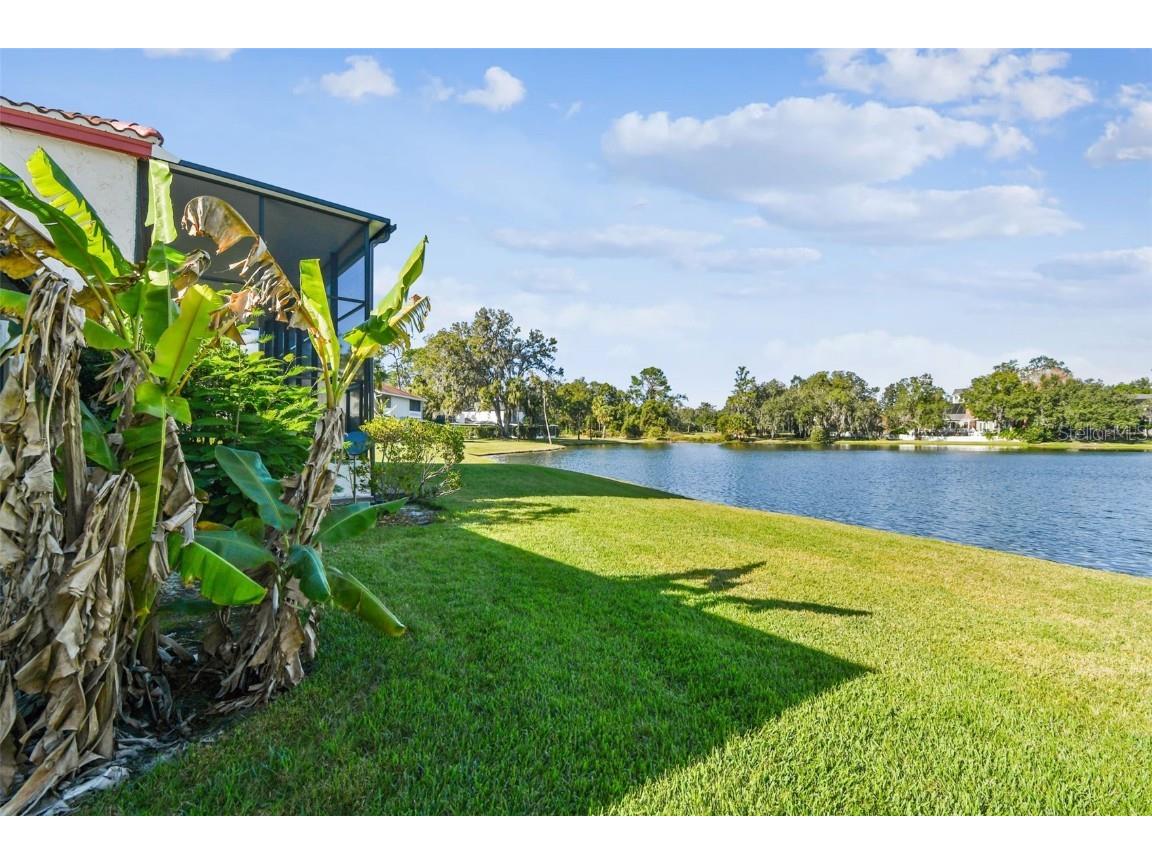 5352 Saddlebrook Way #4 Wesley Chapel FL 33543 TB8456764 image35