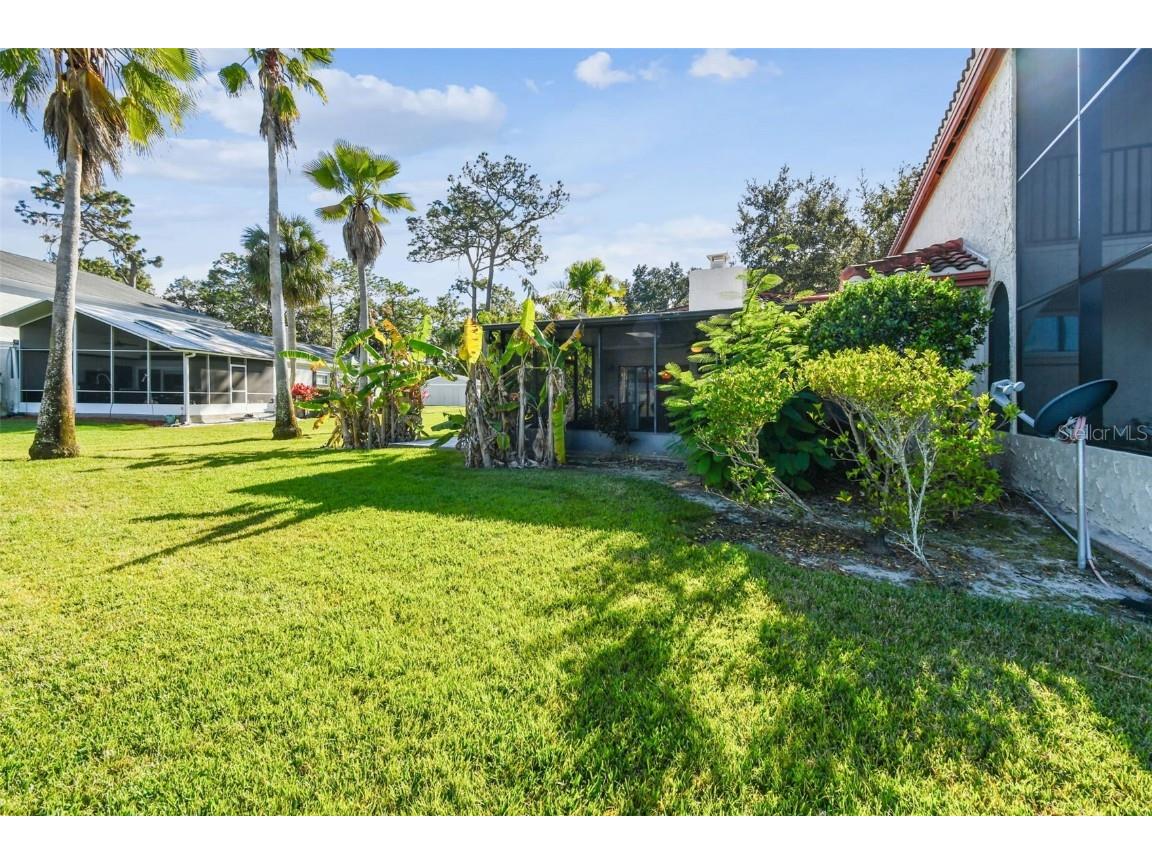 5352 Saddlebrook Way #4 Wesley Chapel FL 33543 TB8456764 image37