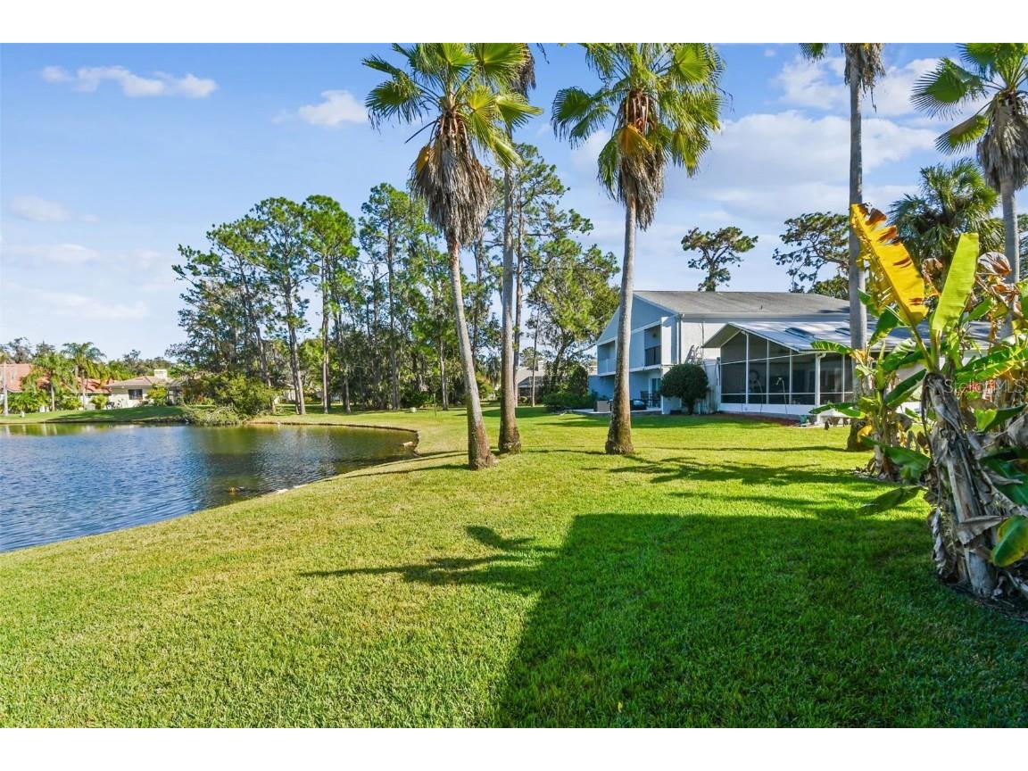 5352 Saddlebrook Way #4 Wesley Chapel FL 33543 TB8456764 image39