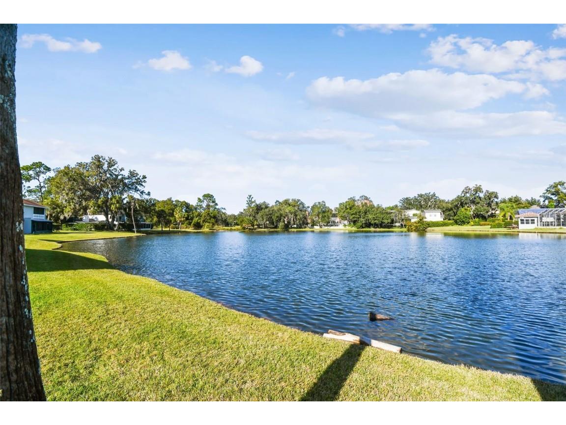 5352 Saddlebrook Way #4 Wesley Chapel FL 33543 TB8456764 image40