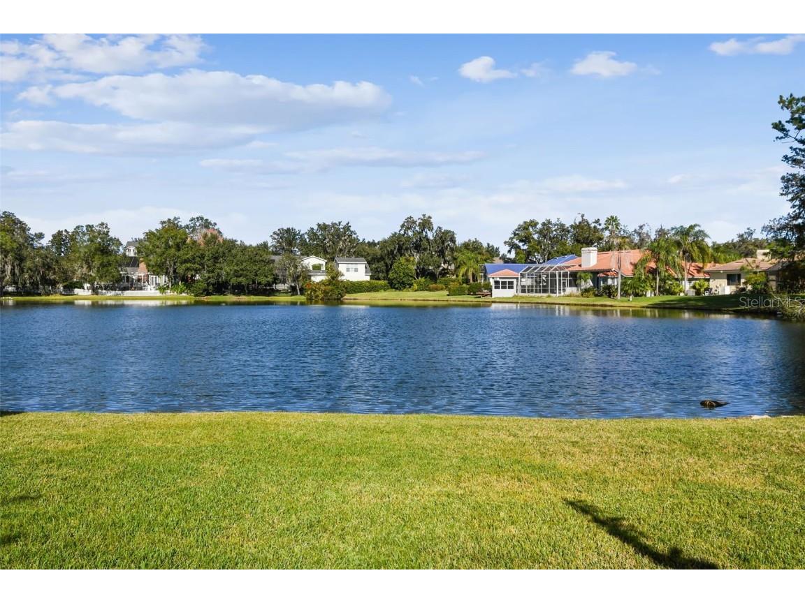 5352 Saddlebrook Way #4 Wesley Chapel FL 33543 TB8456764 image41