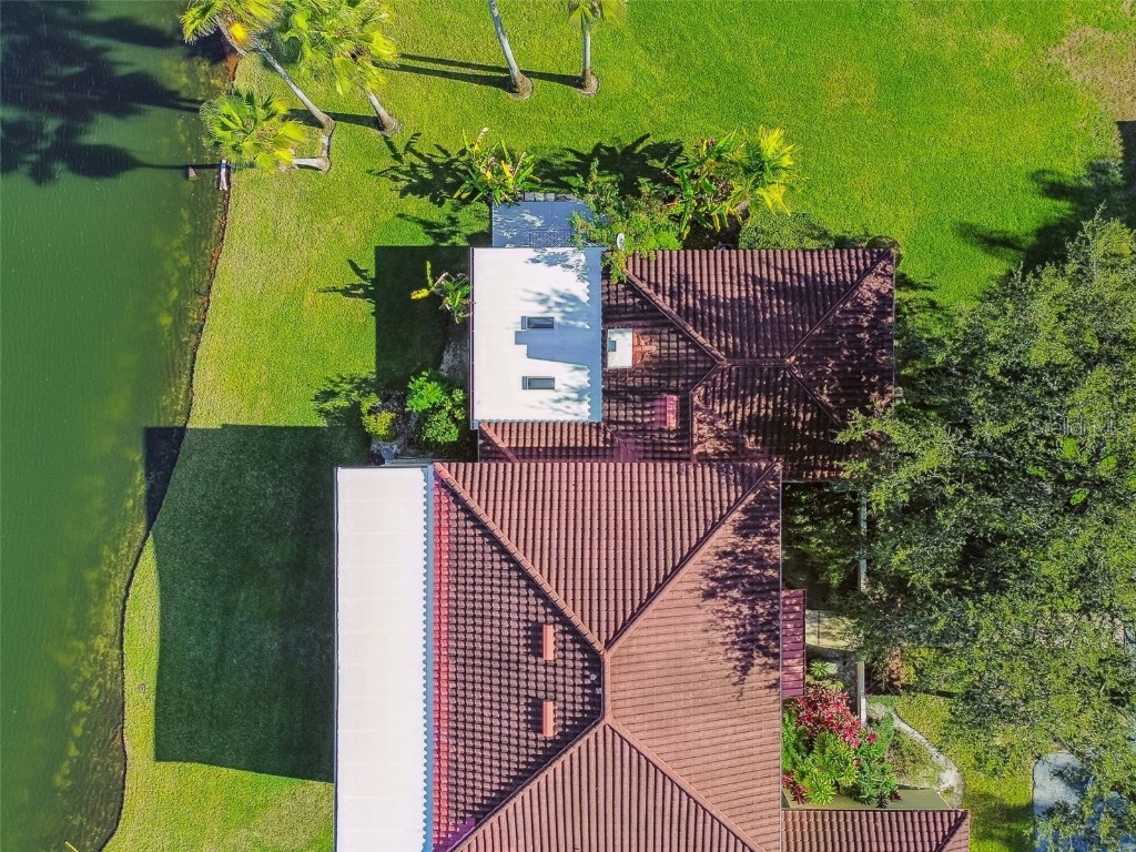 5352 Saddlebrook Way #4 Wesley Chapel FL 33543 TB8456764 image49