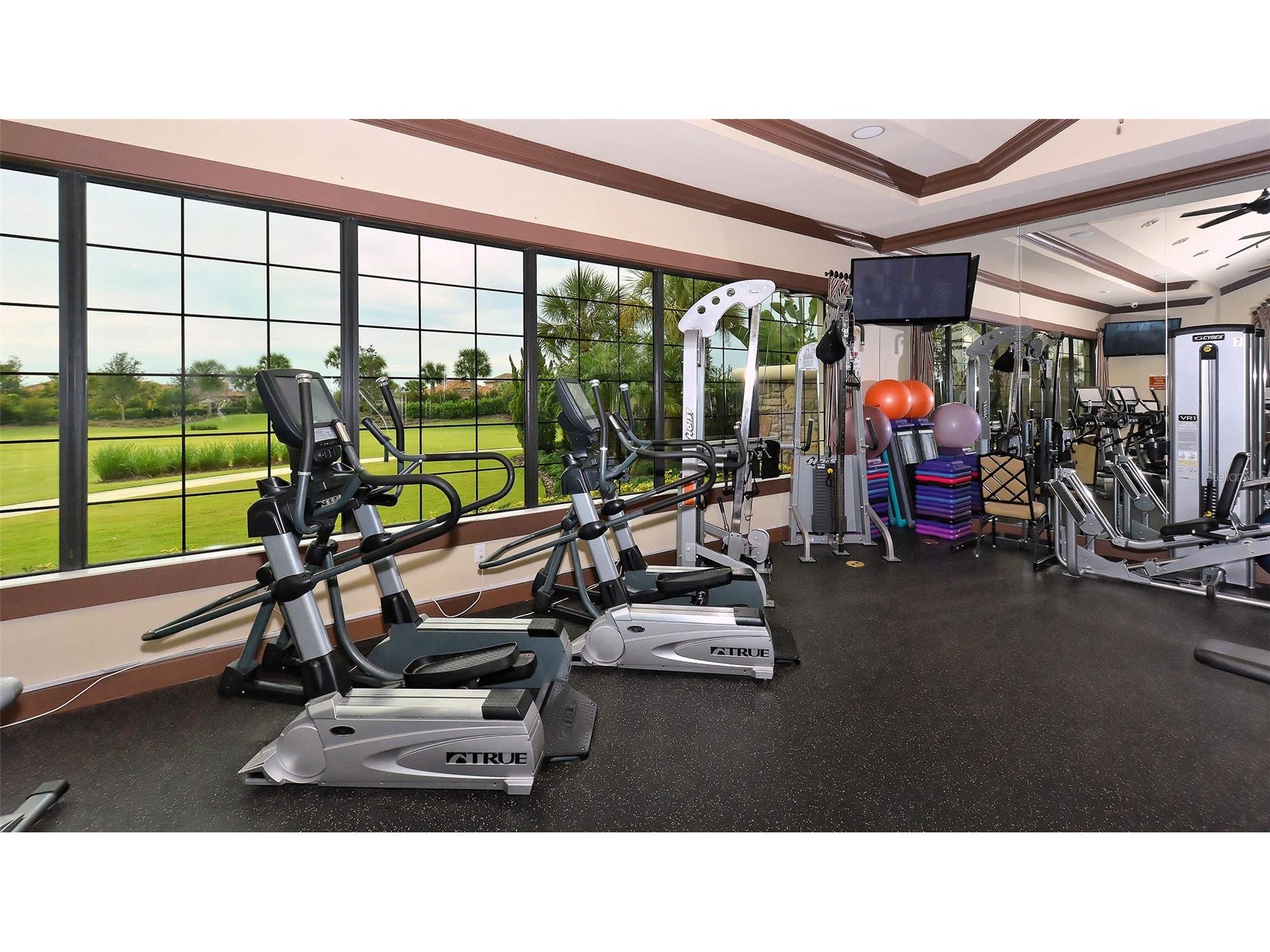 5352 Vaccaro Court Bradenton FL 34211 A4677975 image85
