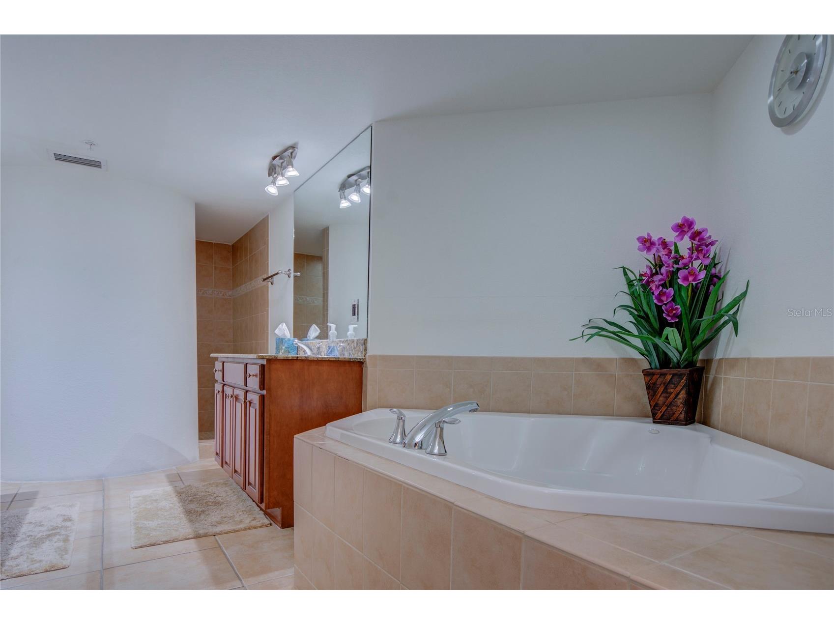 5353 Gulf Boulevard #A502 Saint Pete Beach FL 33706 TB8491115 image26