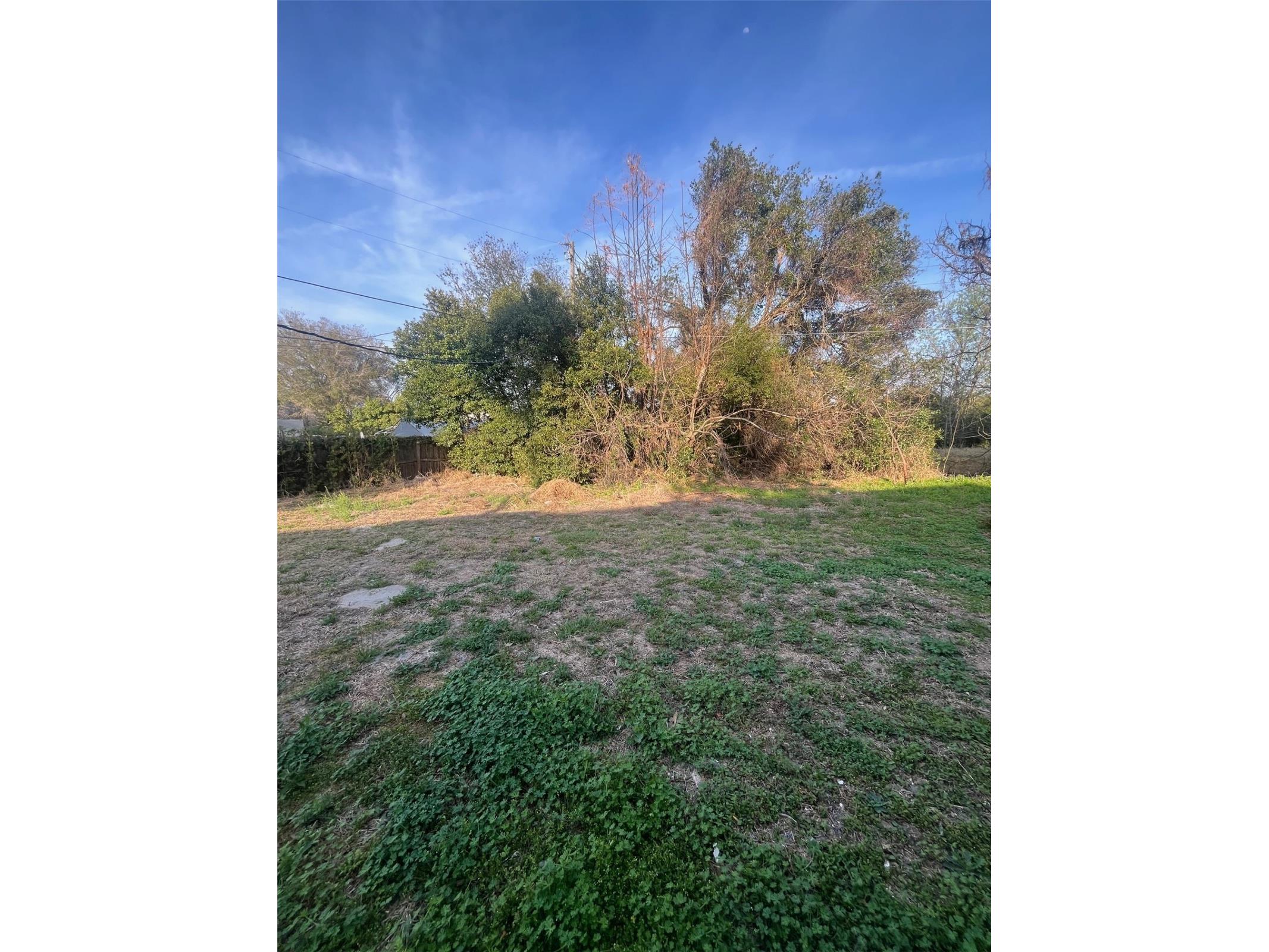 5353 N Orange Blossom Trail Mount Dora FL 32757 O6386396 image9