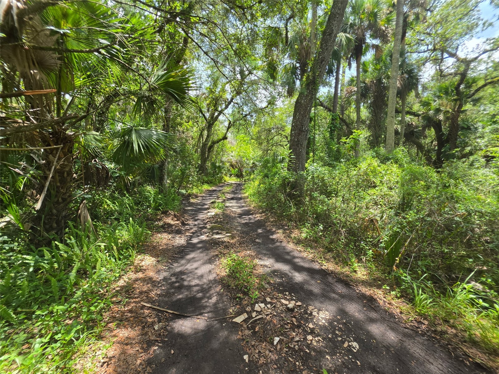 5353 S Sanford Avenue Sanford FL 32773 O6423449 image2