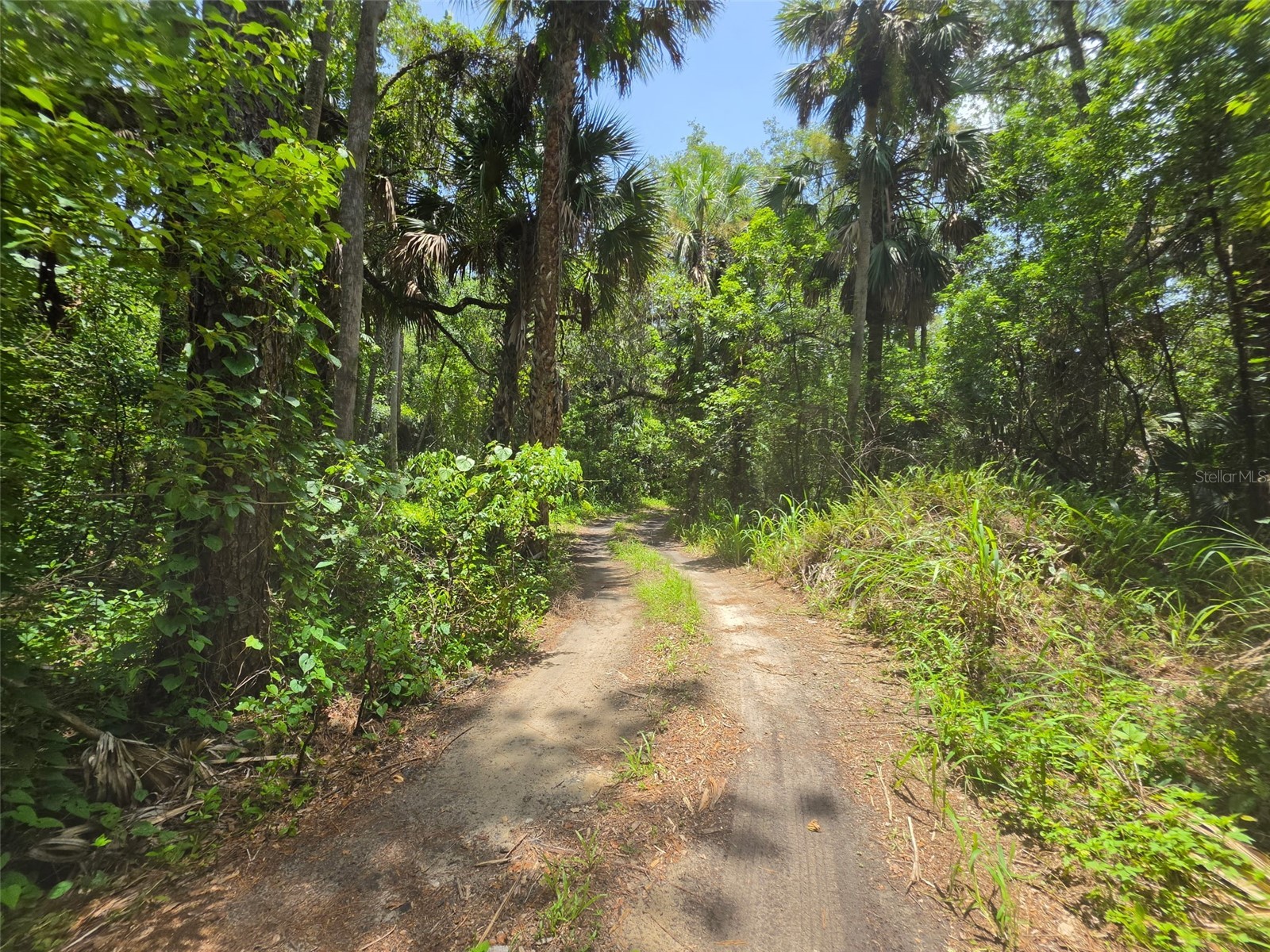 5353 S Sanford Avenue Sanford FL 32773 O6423449 image5