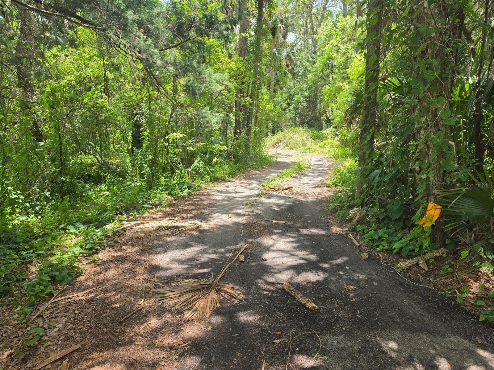 5353 S Sanford Avenue Sanford FL 32773 O6423449 image6