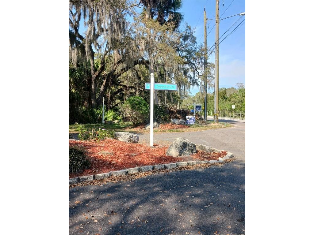 5353 Tropical Woods Court Port Richey FL 34668 U8188789 image7