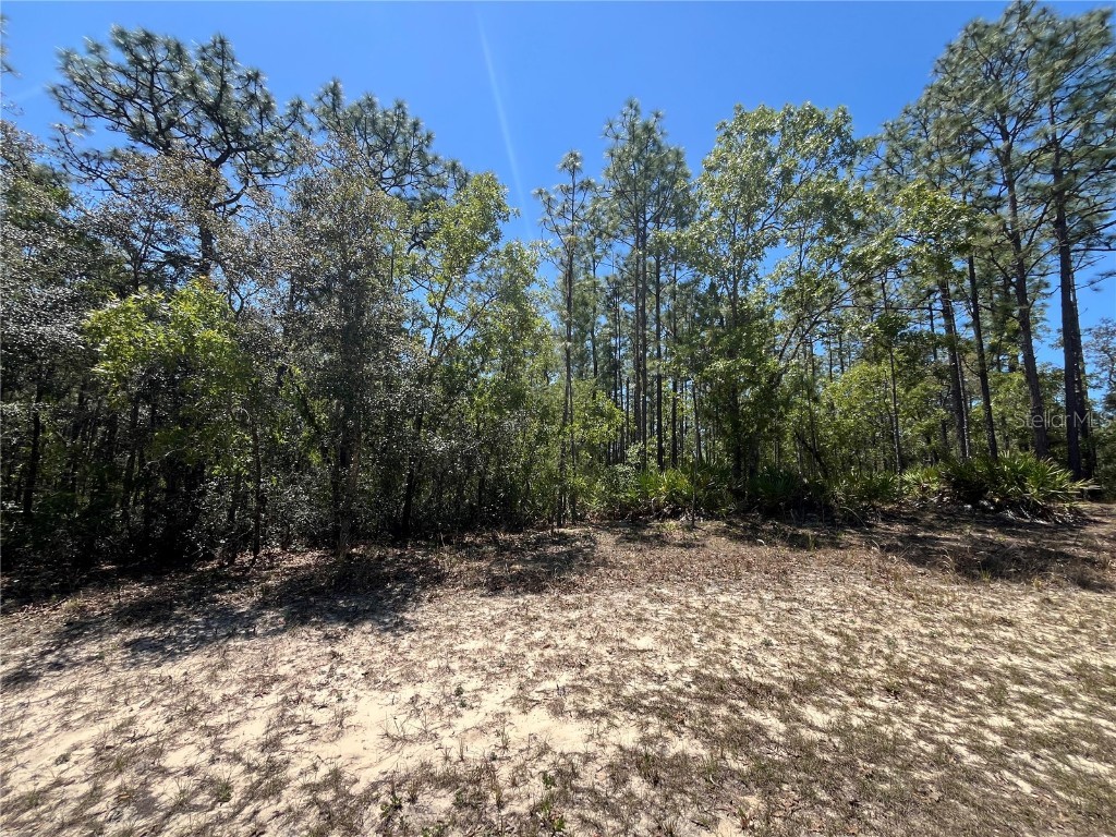 5354 N Tee Pee Drive Beverly Hills FL 34465 P4934525 image1