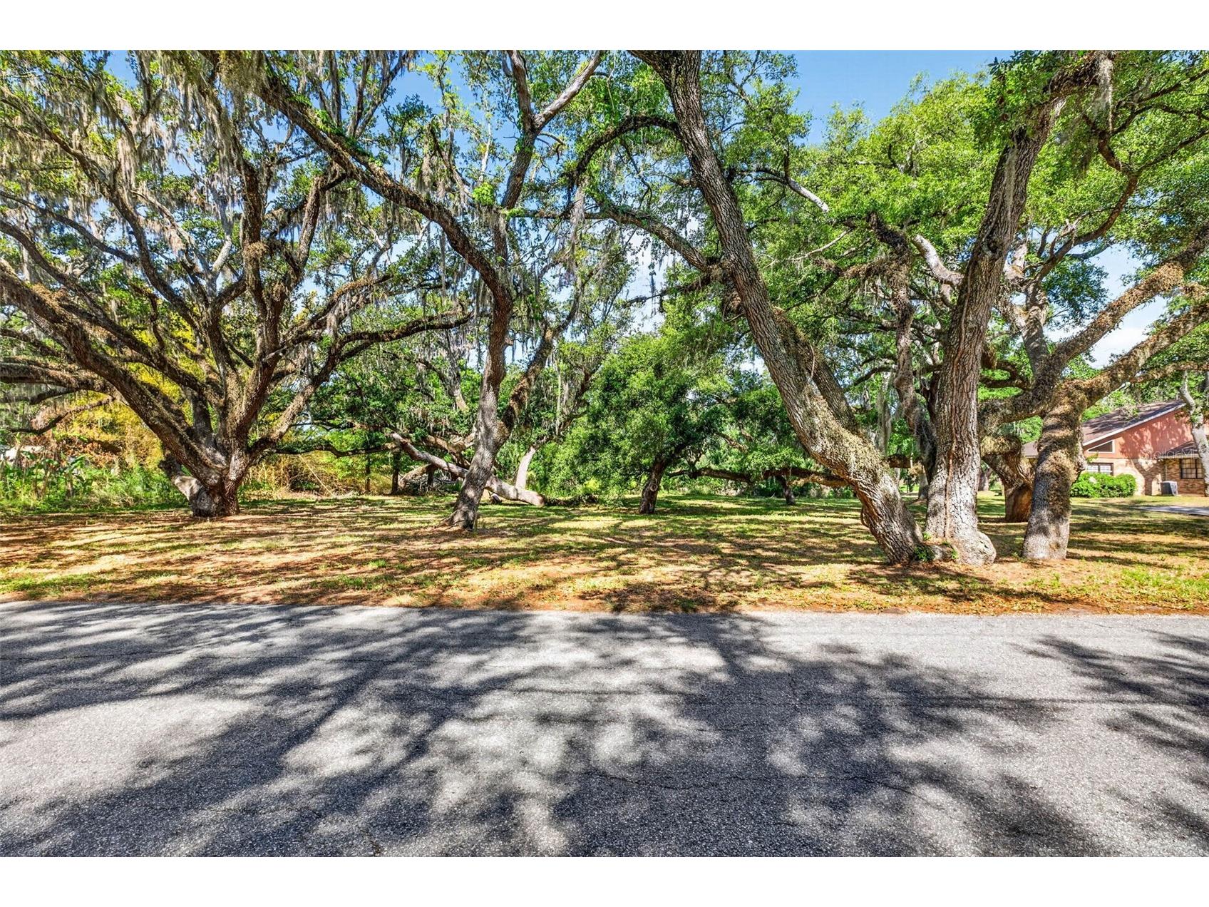 5355 Bernadette Dr Zephyrhills FL 33541 - LAKE BERNADETTE TB8499509 image1