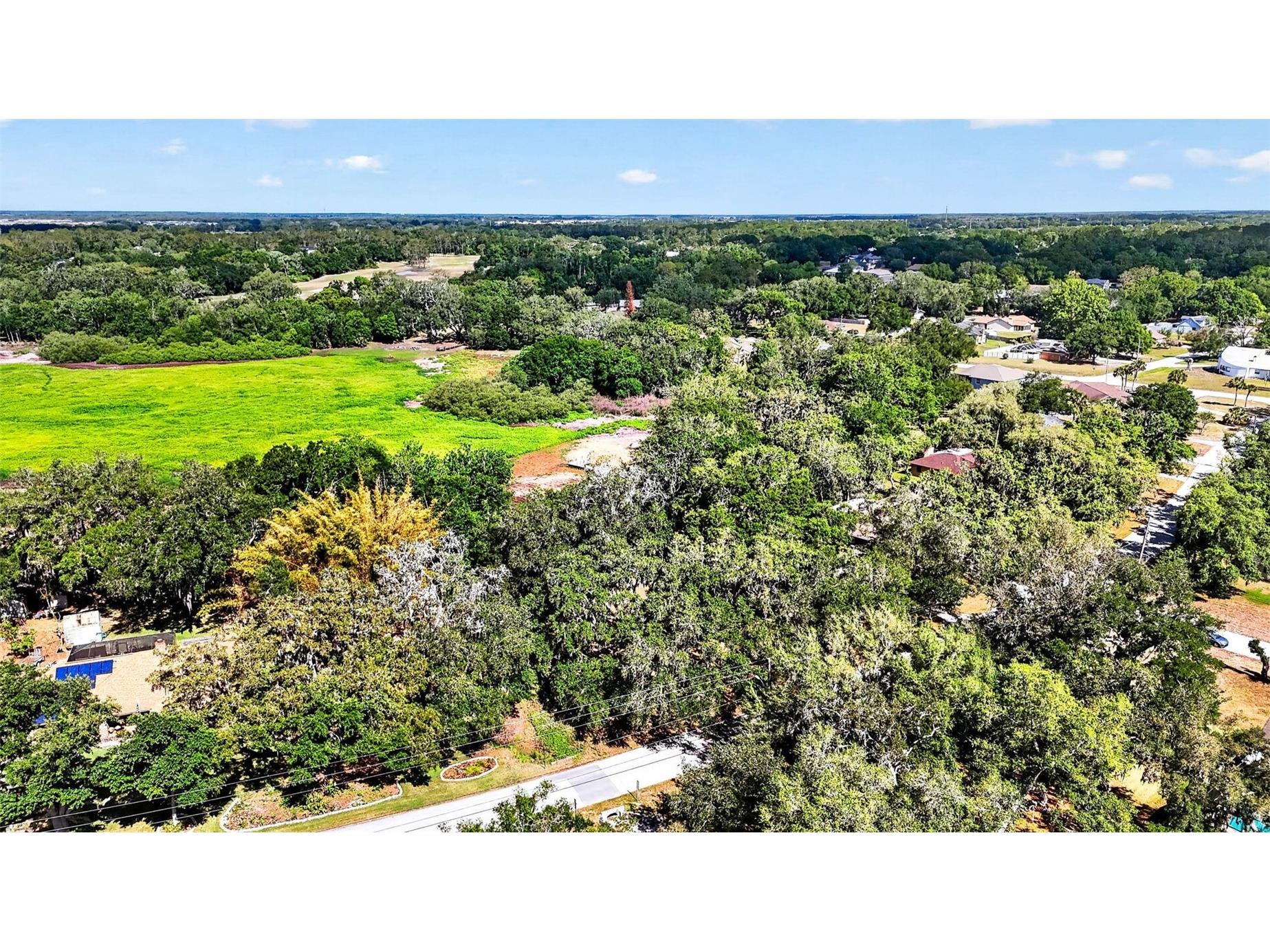5355 Bernadette Dr Zephyrhills FL 33541 - LAKE BERNADETTE TB8499509 image10