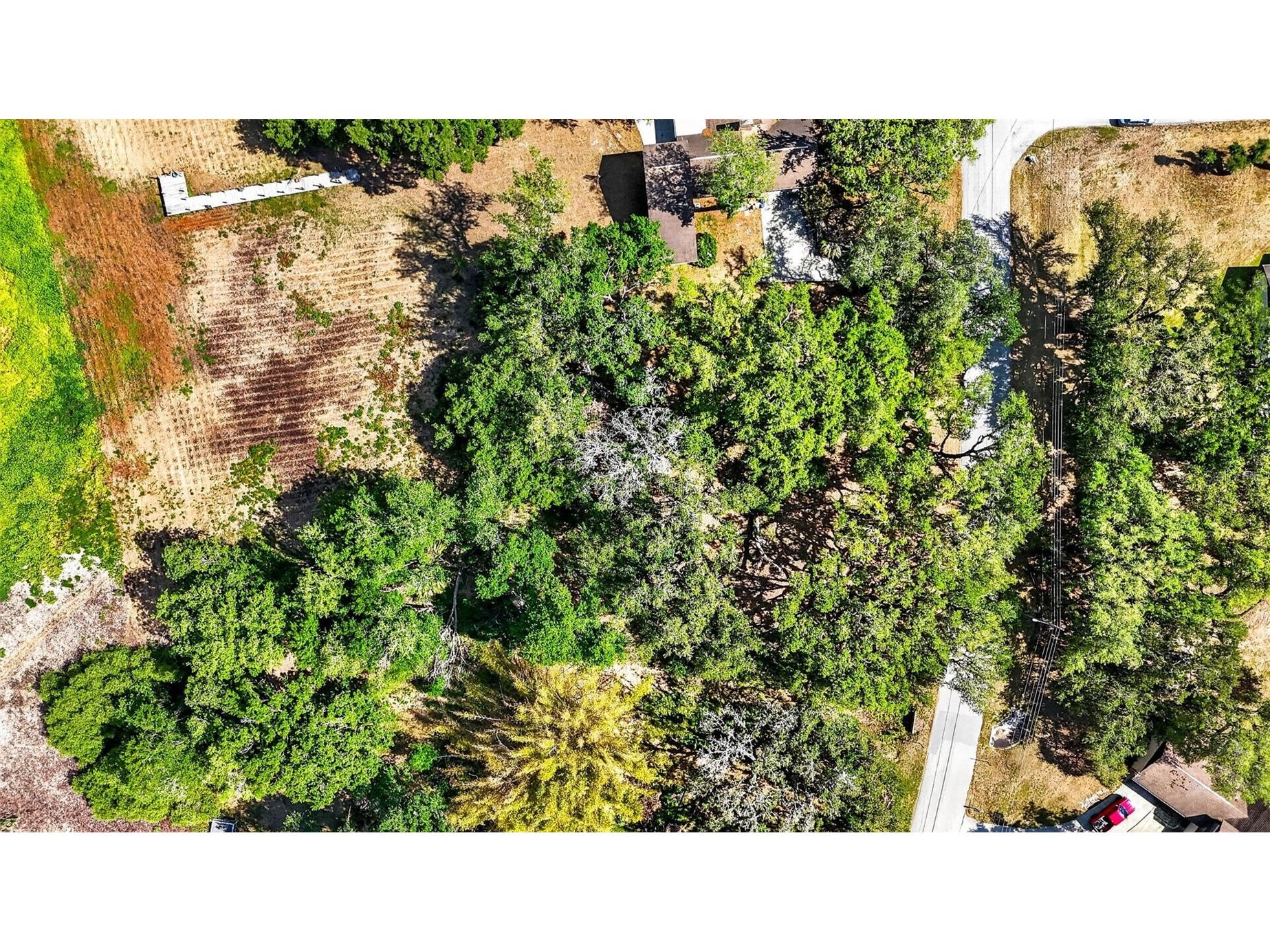 5355 Bernadette Dr Zephyrhills FL 33541 - LAKE BERNADETTE TB8499509 image11