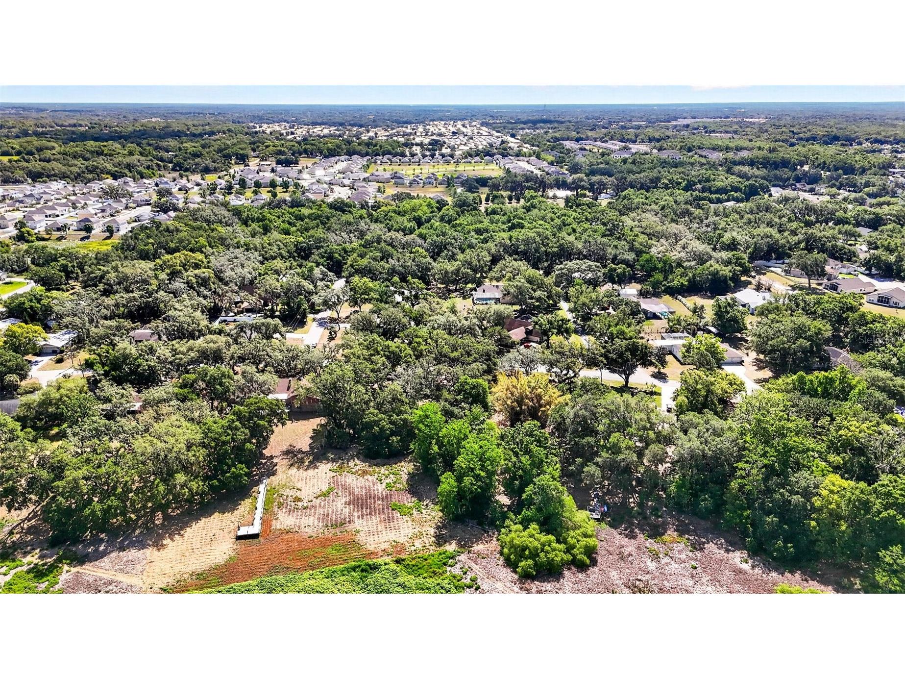 5355 Bernadette Dr Zephyrhills FL 33541 - LAKE BERNADETTE TB8499509 image13