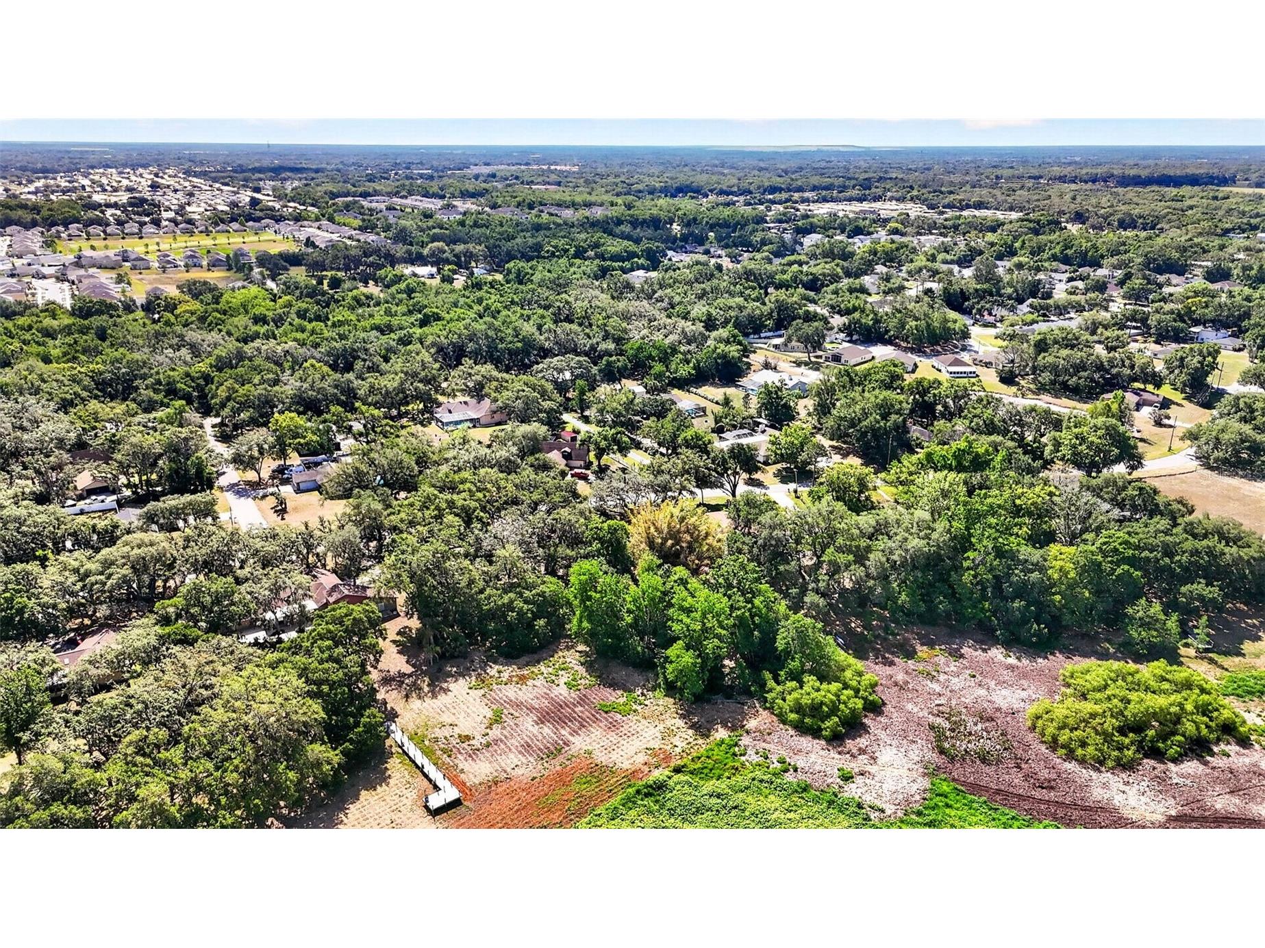 5355 Bernadette Dr Zephyrhills FL 33541 - LAKE BERNADETTE TB8499509 image14