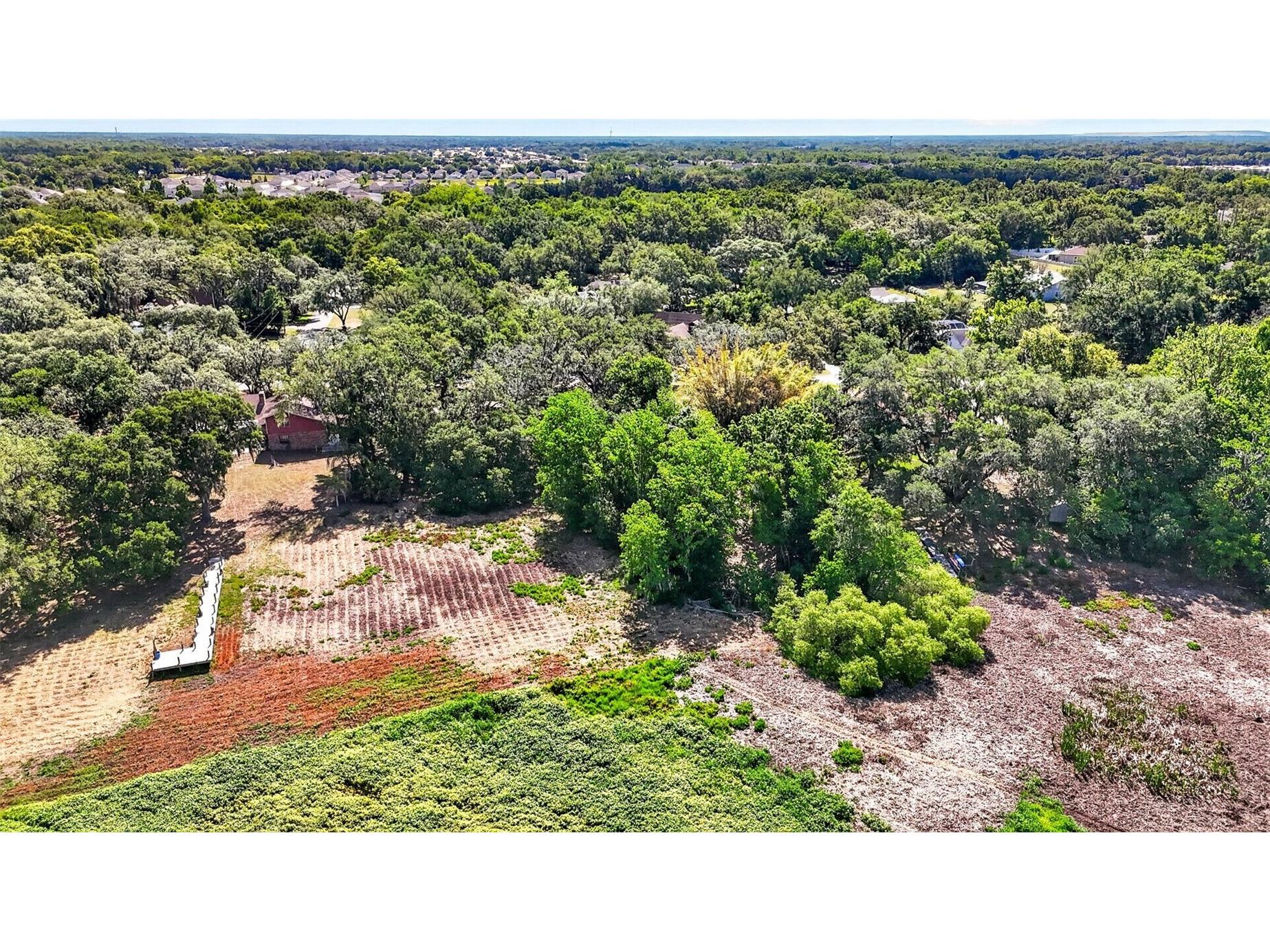 5355 Bernadette Dr Zephyrhills FL 33541 - LAKE BERNADETTE TB8499509 image15