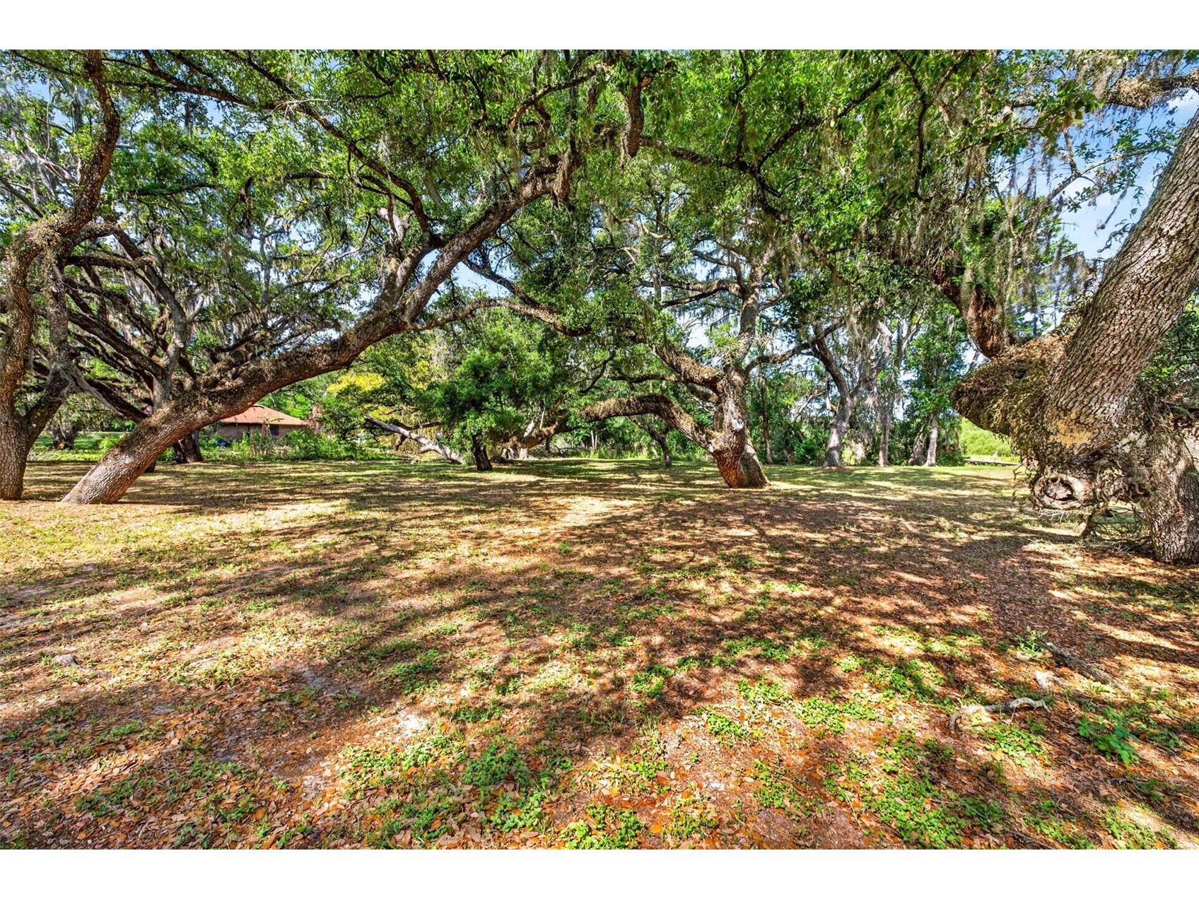 5355 Bernadette Dr Zephyrhills FL 33541 - LAKE BERNADETTE TB8499509 image2