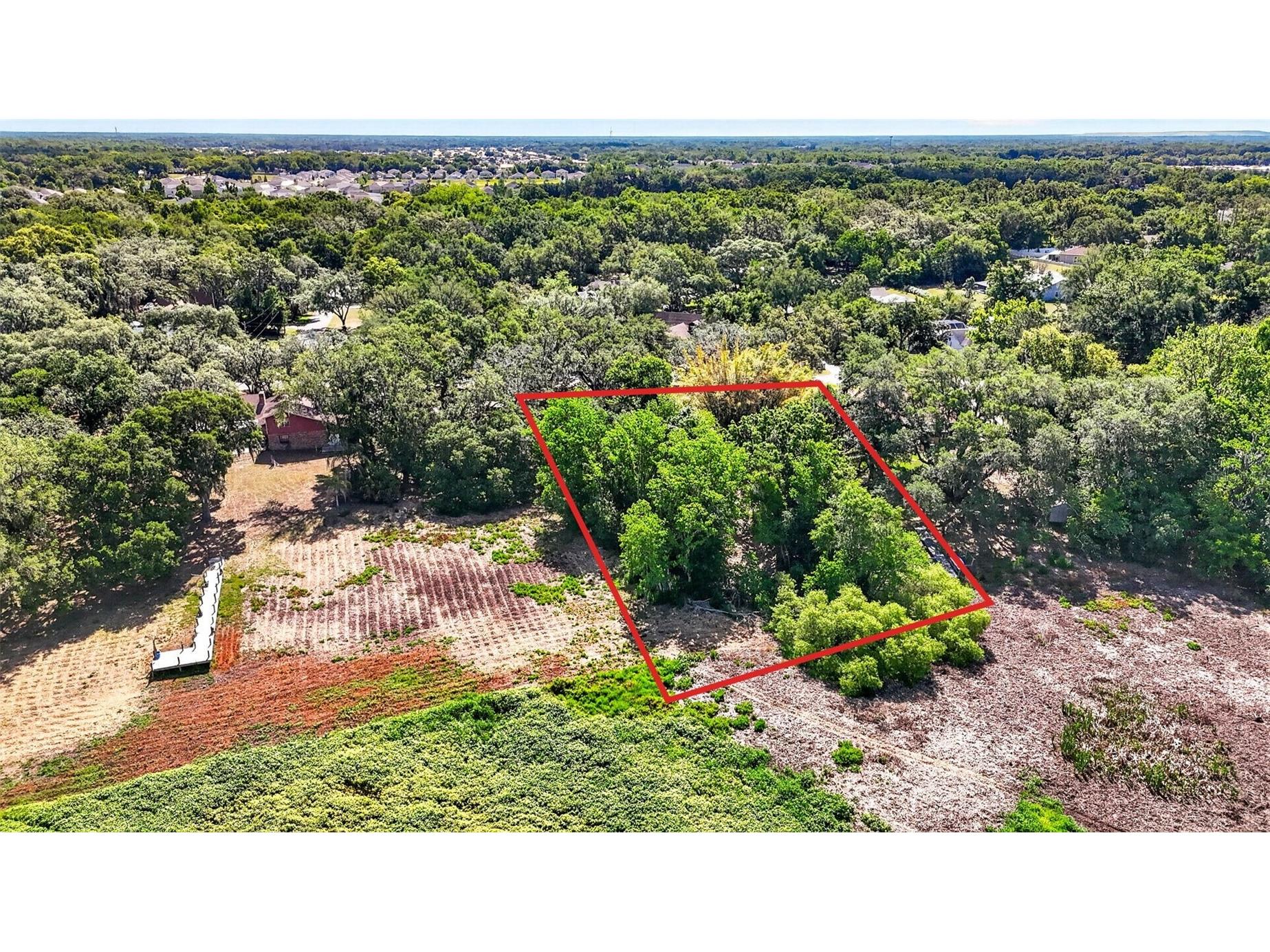 5355 Bernadette Dr Zephyrhills FL 33541 - LAKE BERNADETTE TB8499509 image20