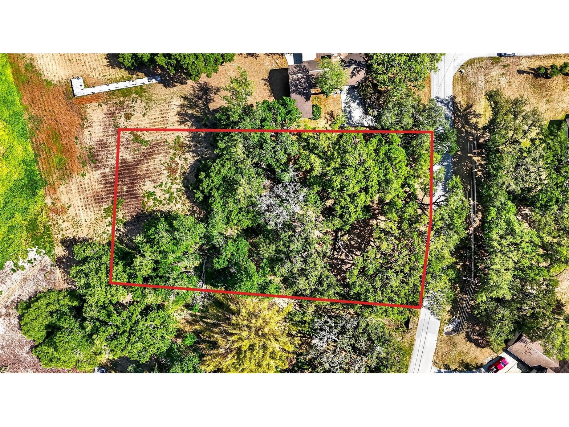 5355 Bernadette Dr Zephyrhills FL 33541 - LAKE BERNADETTE TB8499509 image21