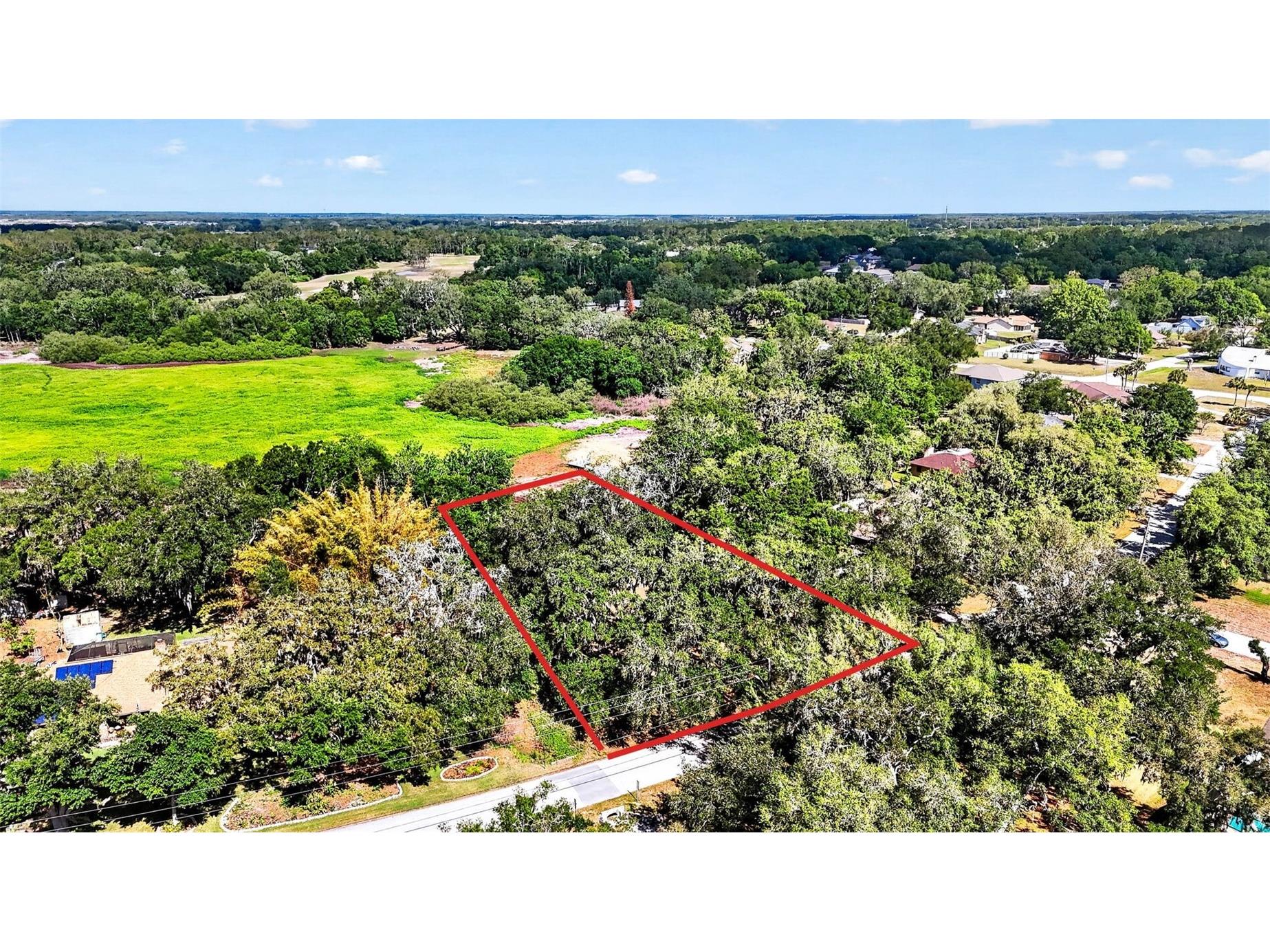 5355 Bernadette Dr Zephyrhills FL 33541 - LAKE BERNADETTE TB8499509 image22