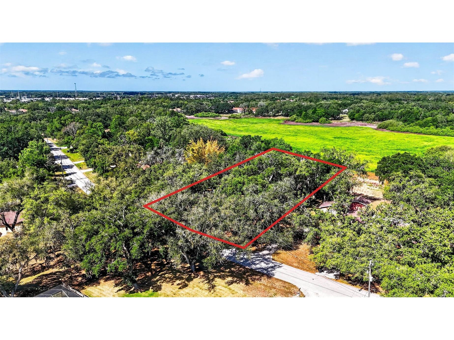 5355 Bernadette Dr Zephyrhills FL 33541 - LAKE BERNADETTE TB8499509 image23