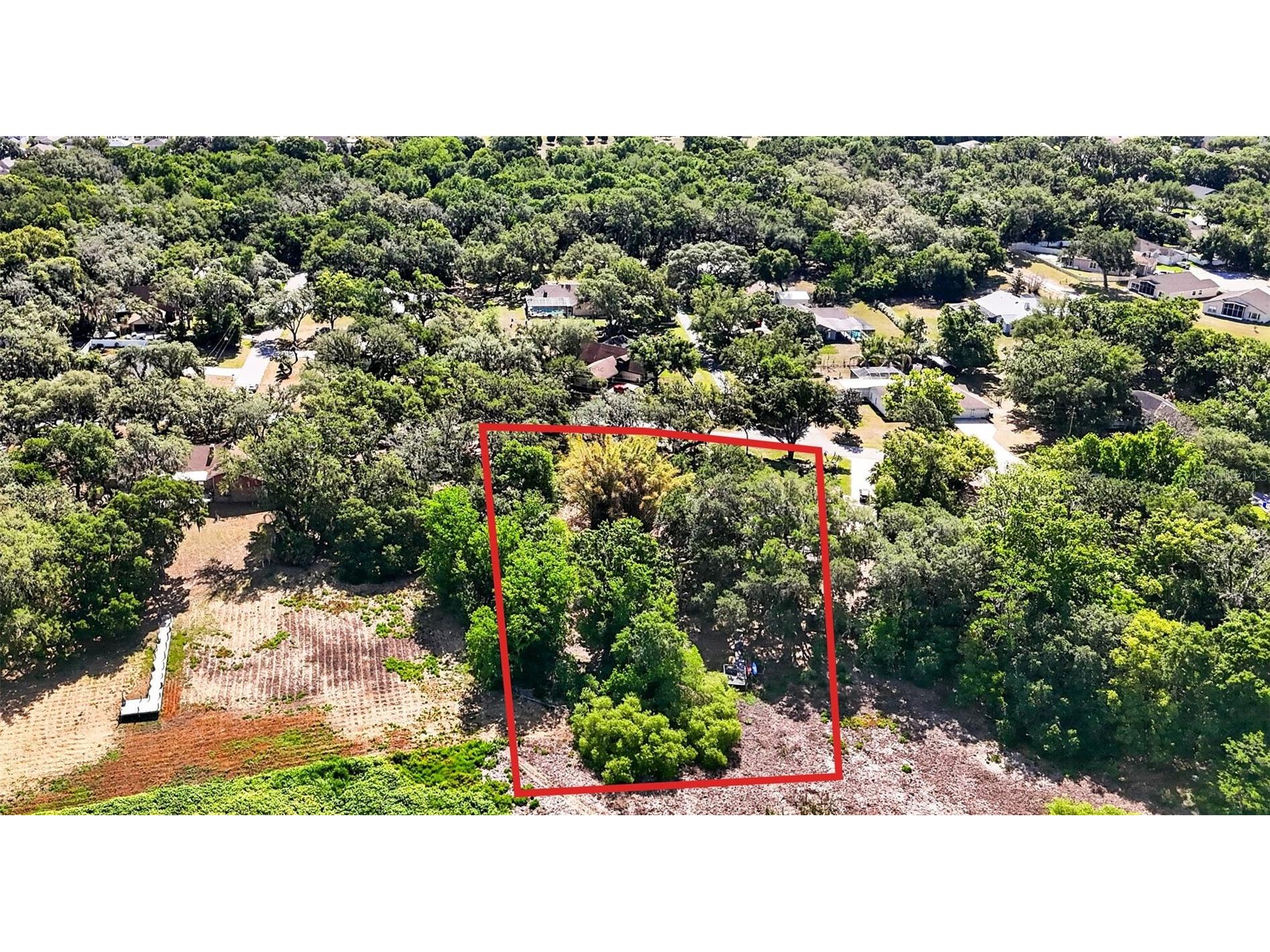 5355 Bernadette Dr Zephyrhills FL 33541 - LAKE BERNADETTE TB8499509 image24