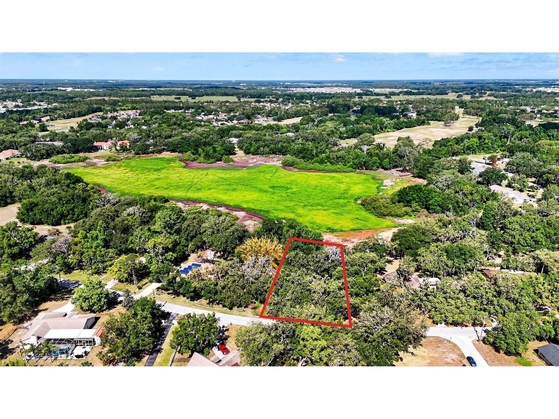 5355 Bernadette Dr Zephyrhills FL 33541 - LAKE BERNADETTE TB8499509 image25