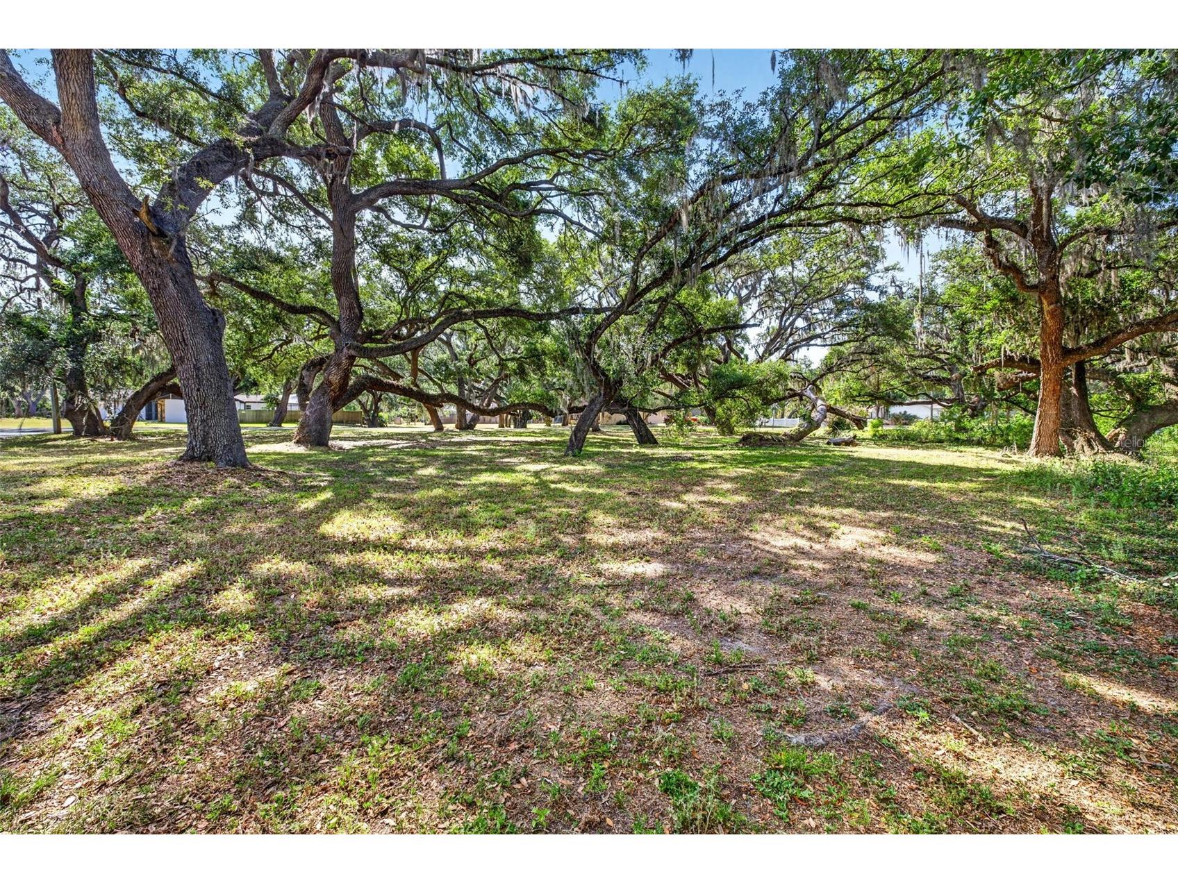 5355 Bernadette Dr Zephyrhills FL 33541 - LAKE BERNADETTE TB8499509 image3