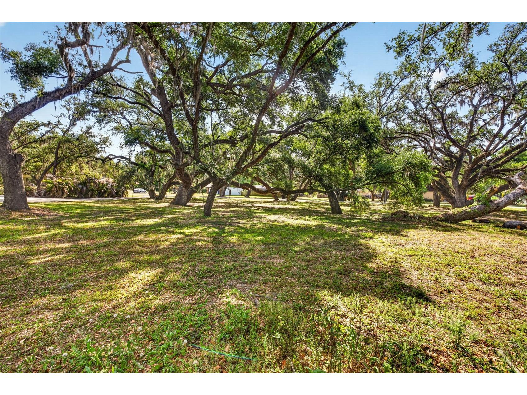 5355 Bernadette Dr Zephyrhills FL 33541 - LAKE BERNADETTE TB8499509 image4