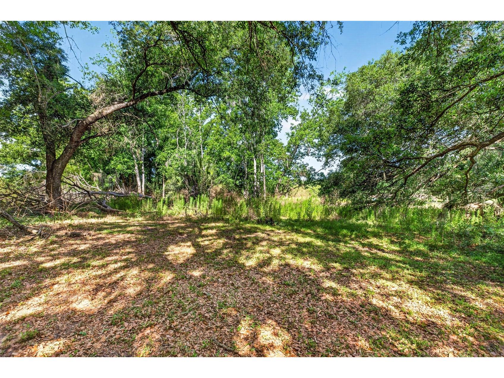5355 Bernadette Dr Zephyrhills FL 33541 - LAKE BERNADETTE TB8499509 image5