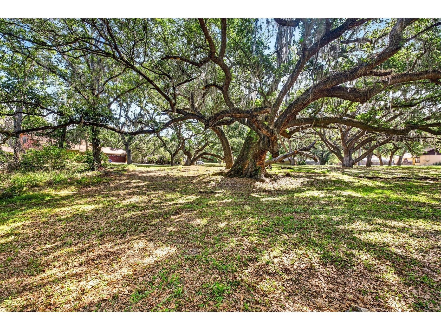 5355 Bernadette Dr Zephyrhills FL 33541 - LAKE BERNADETTE TB8499509 image6