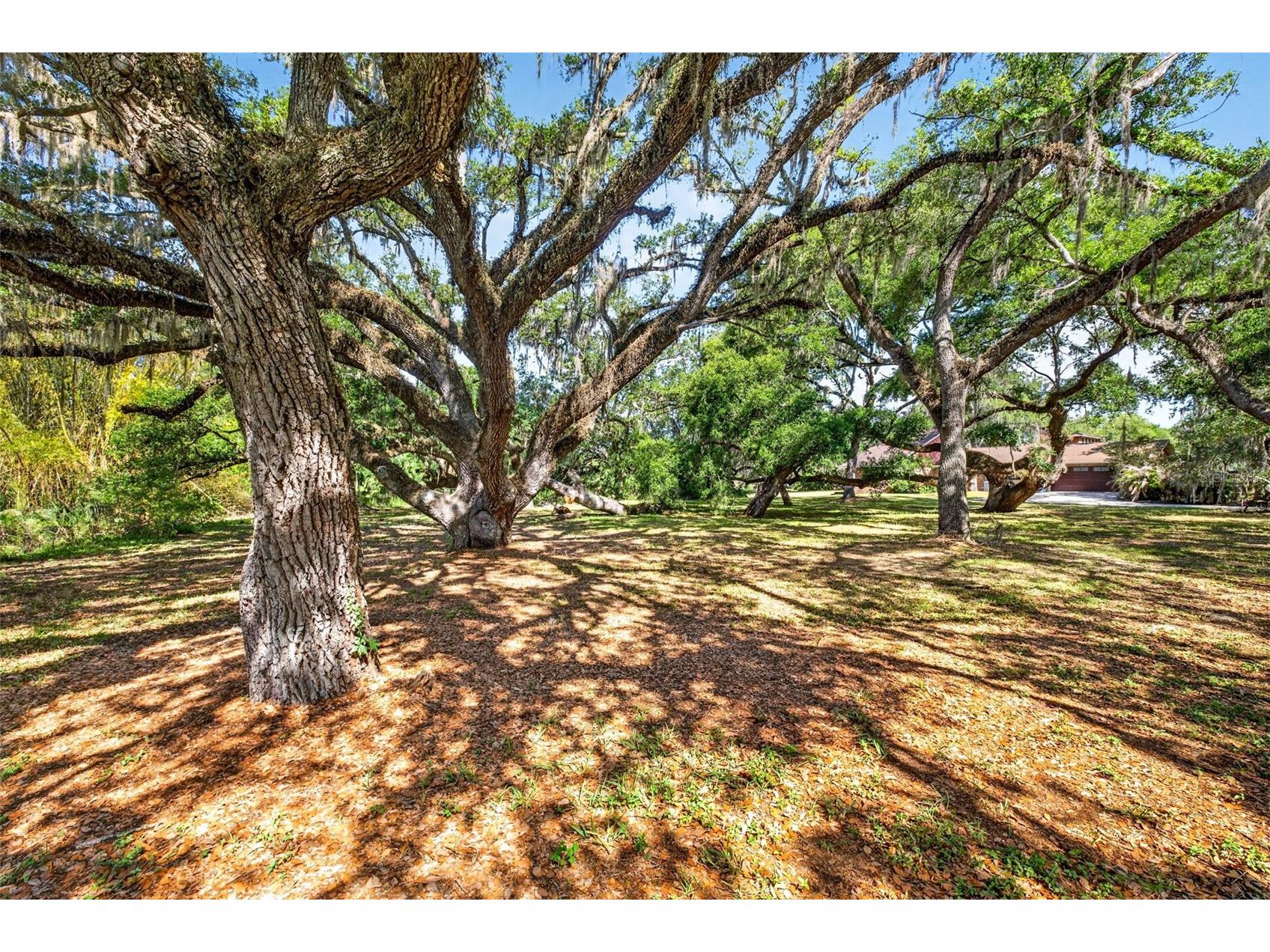 5355 Bernadette Dr Zephyrhills FL 33541 - LAKE BERNADETTE TB8499509 image7