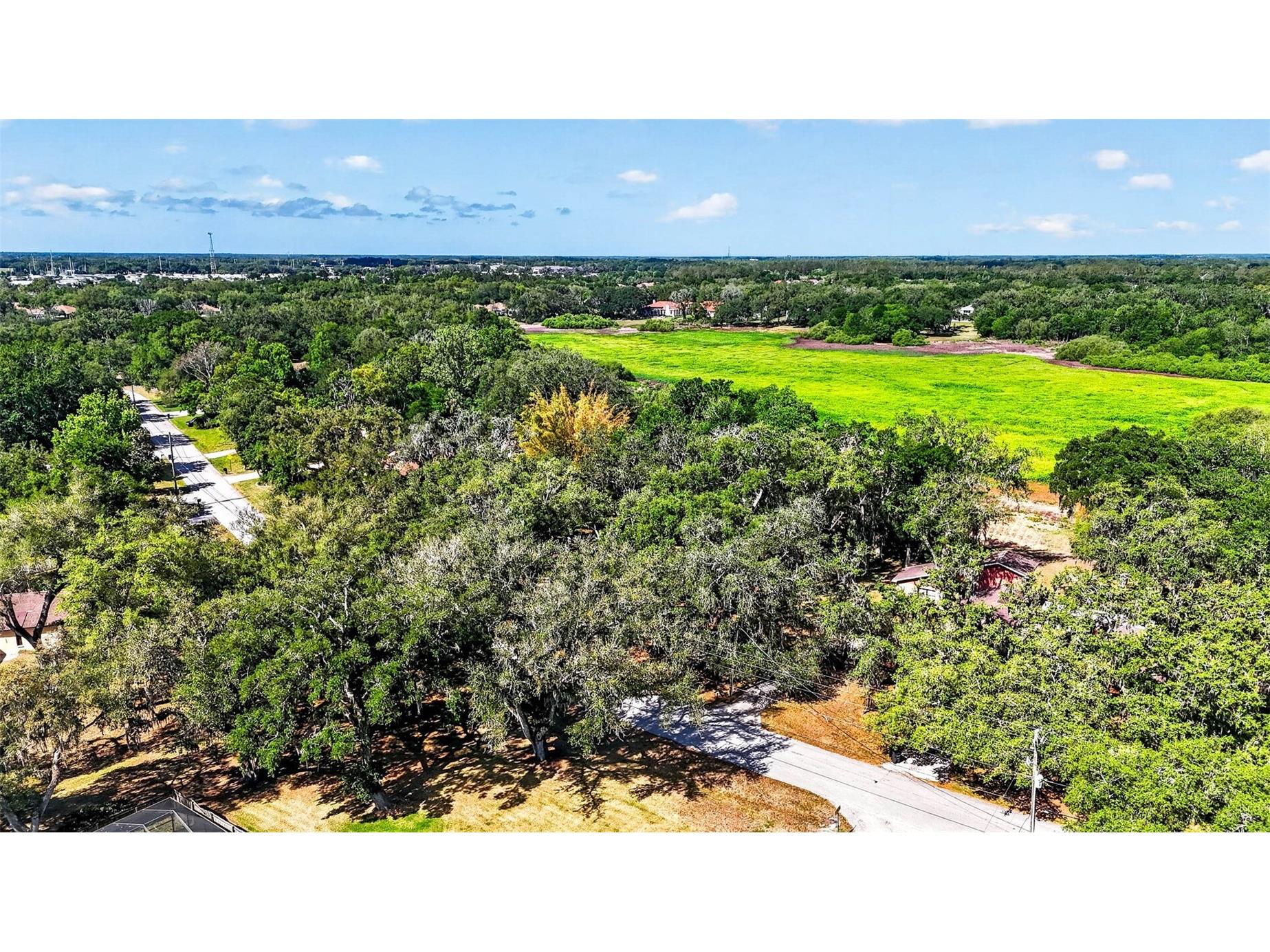 5355 Bernadette Dr Zephyrhills FL 33541 - LAKE BERNADETTE TB8499509 image8