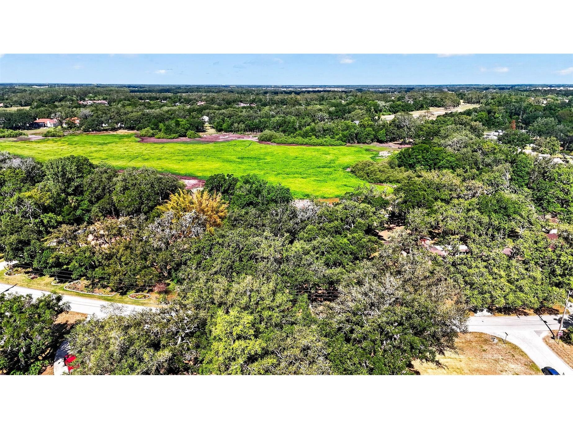 5355 Bernadette Dr Zephyrhills FL 33541 - LAKE BERNADETTE TB8499509 image9