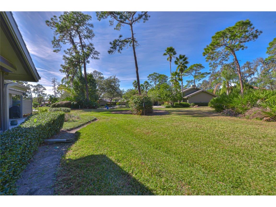 5355 Cobblestone Court Wesley Chapel FL 33543 TB8407739 image13