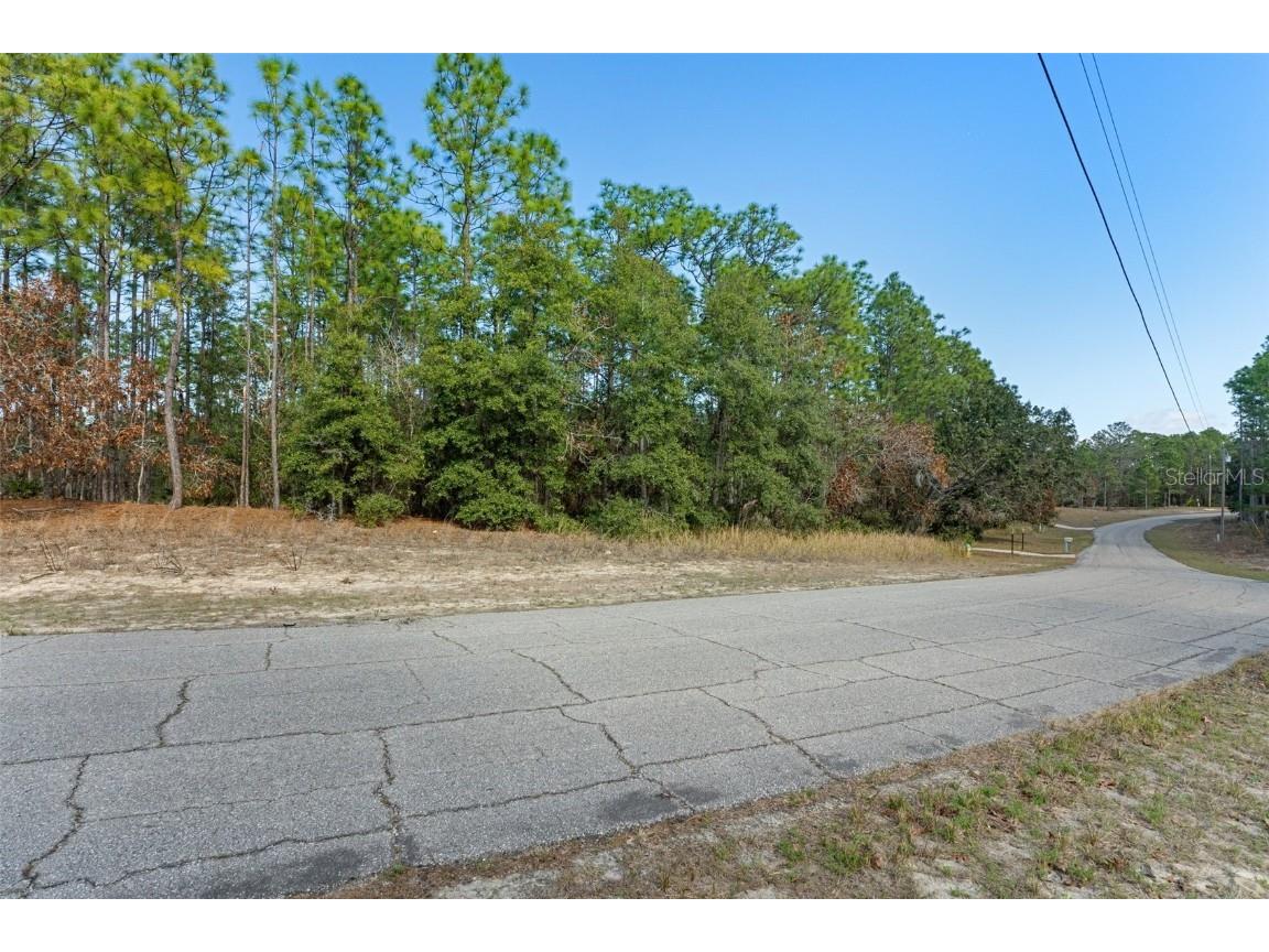 5355 N Tee Pee Drive Beverly Hills FL 34465 OM694632 image1