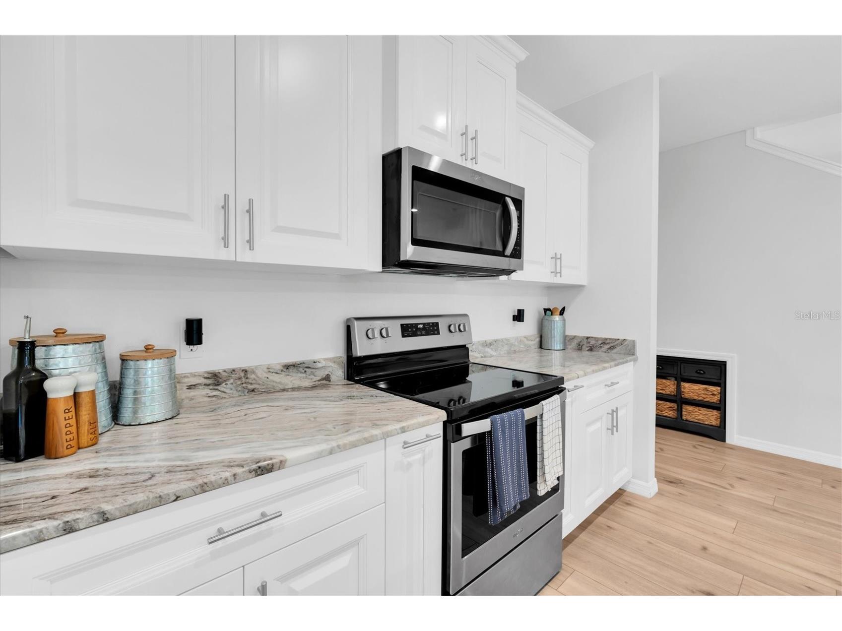 5355 Riverwalk Preserve Drive New Port Richey FL 34653 W7887065 image14