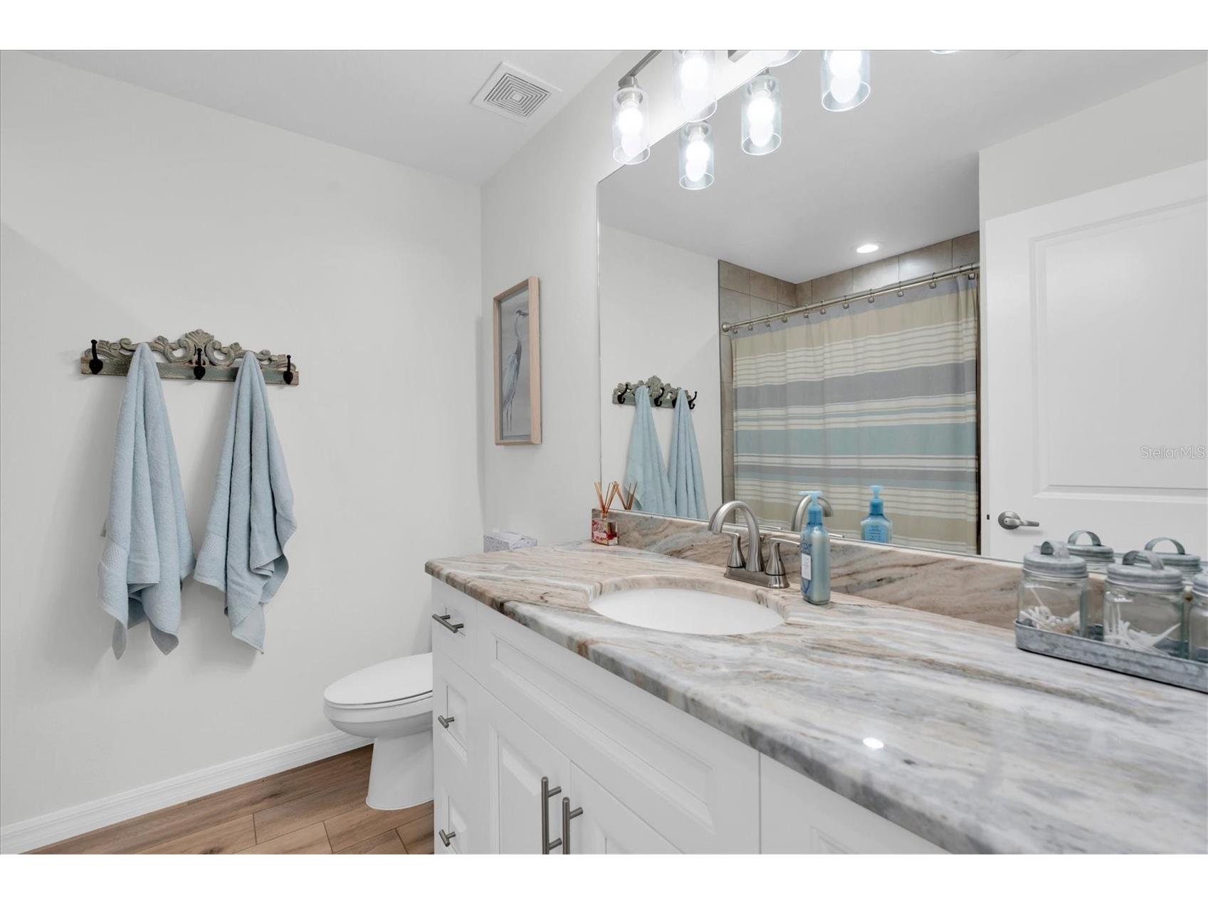 5355 Riverwalk Preserve Drive New Port Richey FL 34653 W7887065 image36